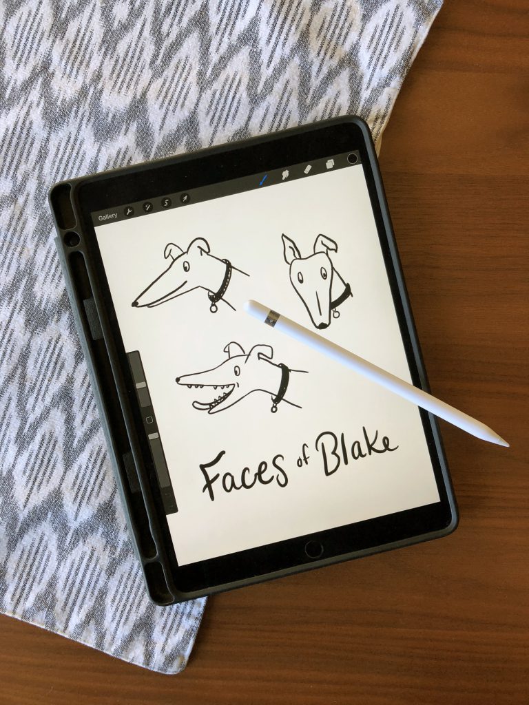 An ipad with drawings of a greyhound on the screen