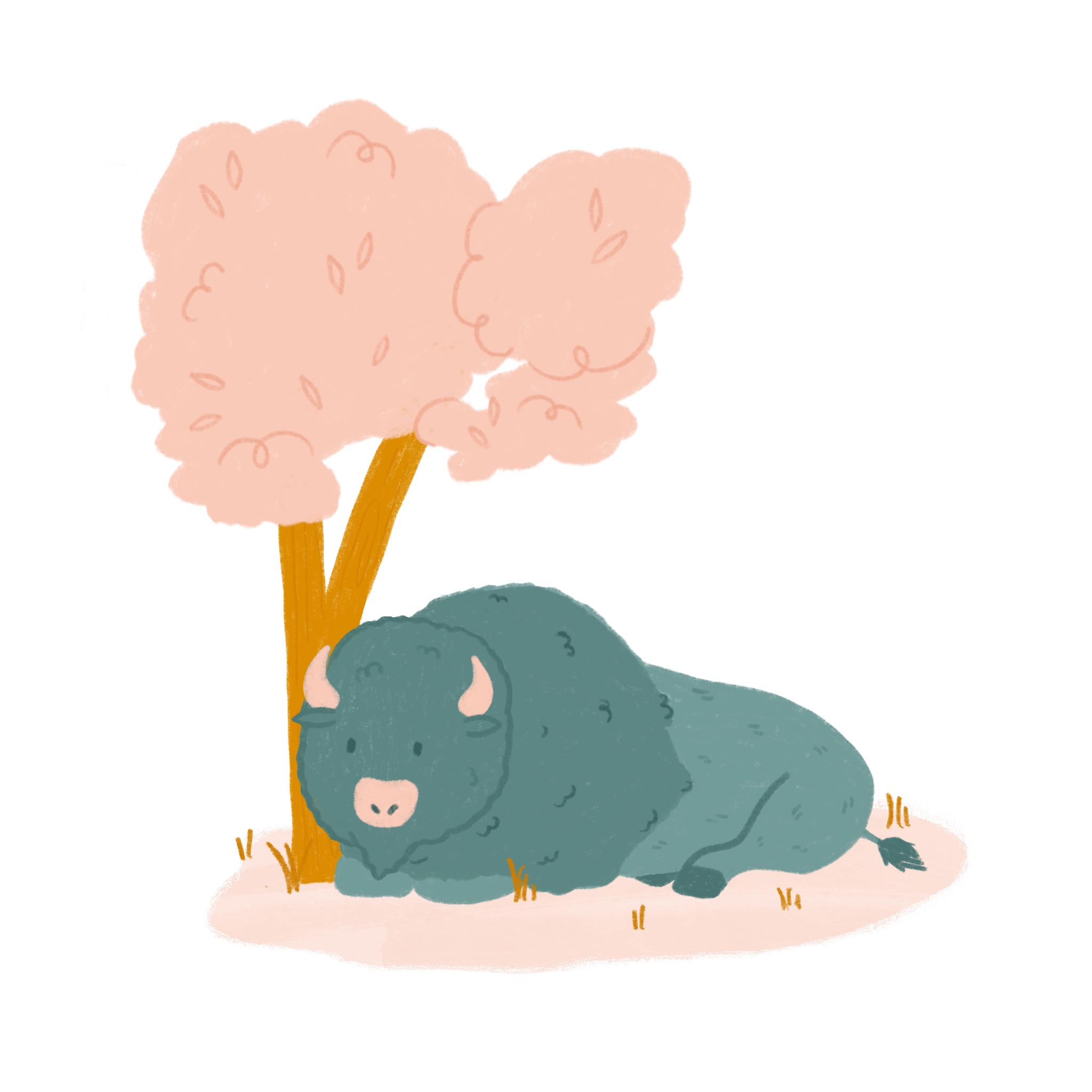 An illustration of a Bison resting under a tree