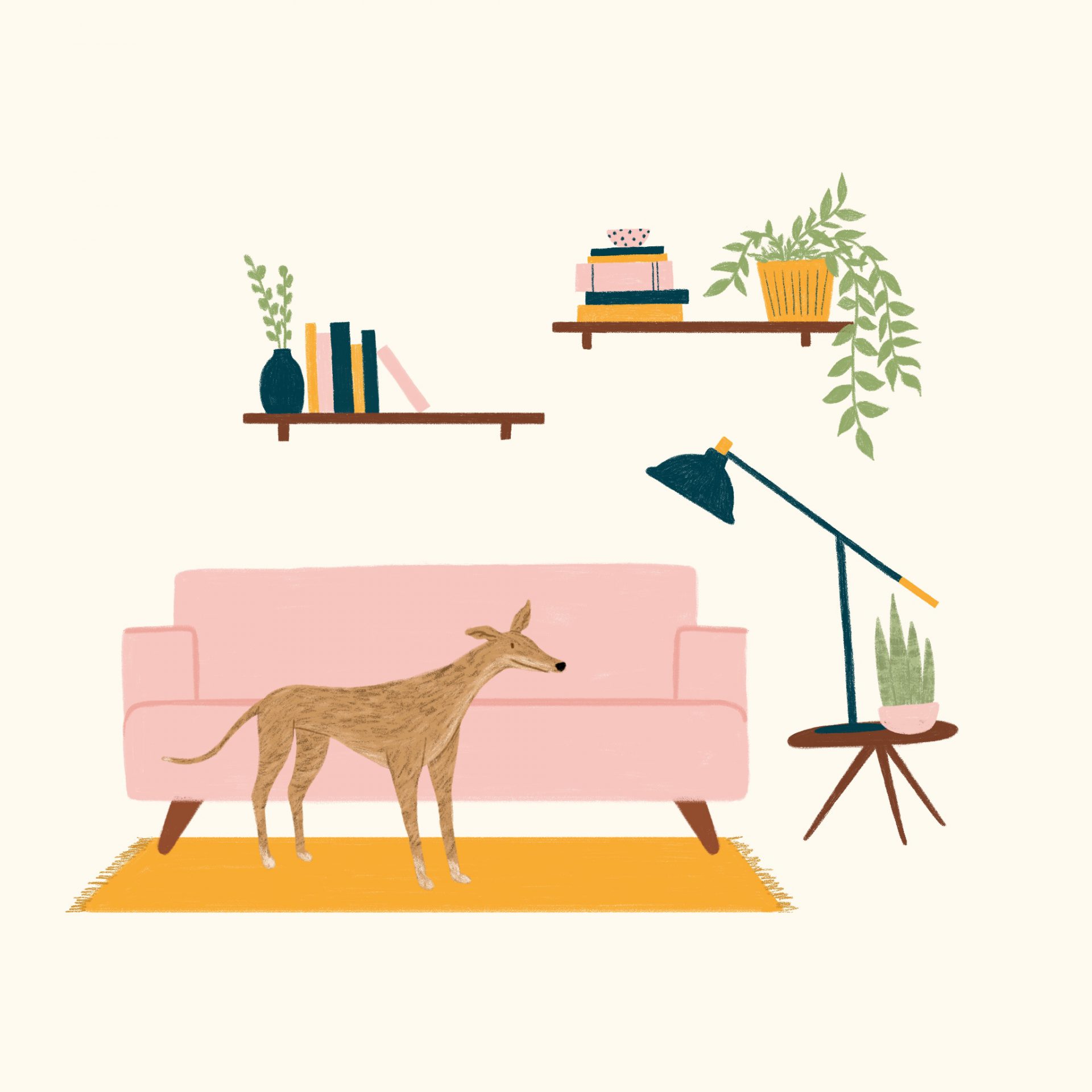 Illustration of a brindle greyhound in a living room with a pink couch
