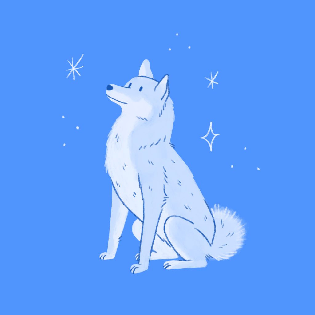 An illustrated Shiba Inu dog