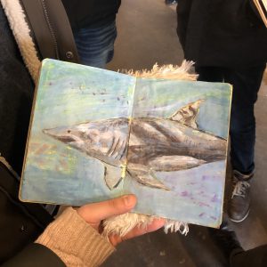 A hand holding open a sketchbook with a drawing of a shark