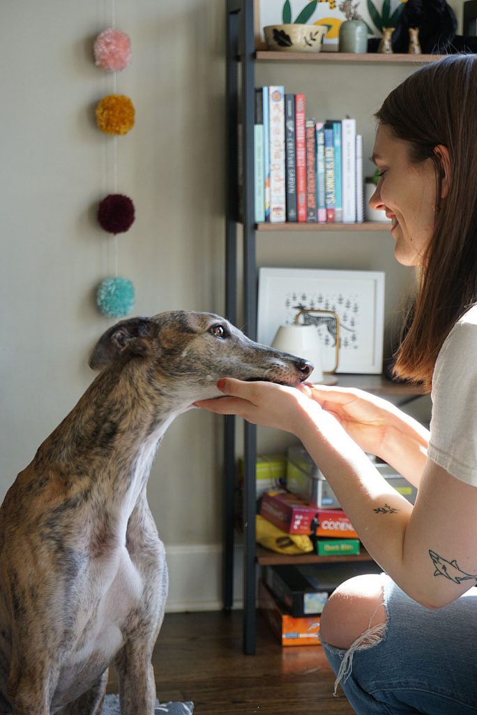 Kaila holds Greer the greyhound's chin