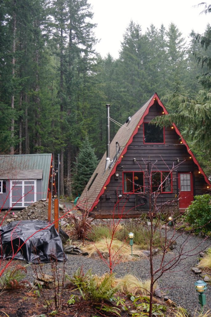 A A-frame cabin surrounded by trees