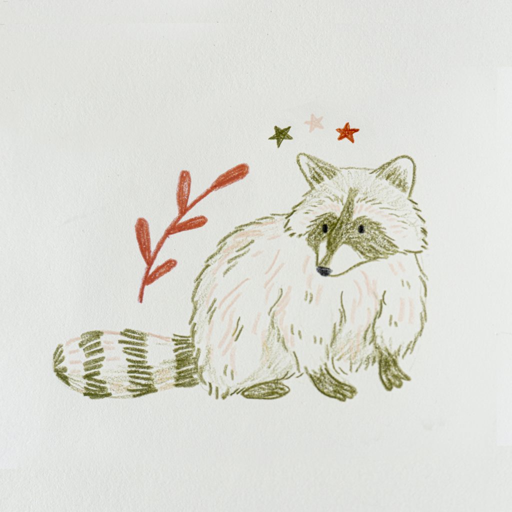 A colored pencil drawing of a green raccoon and an orange branch