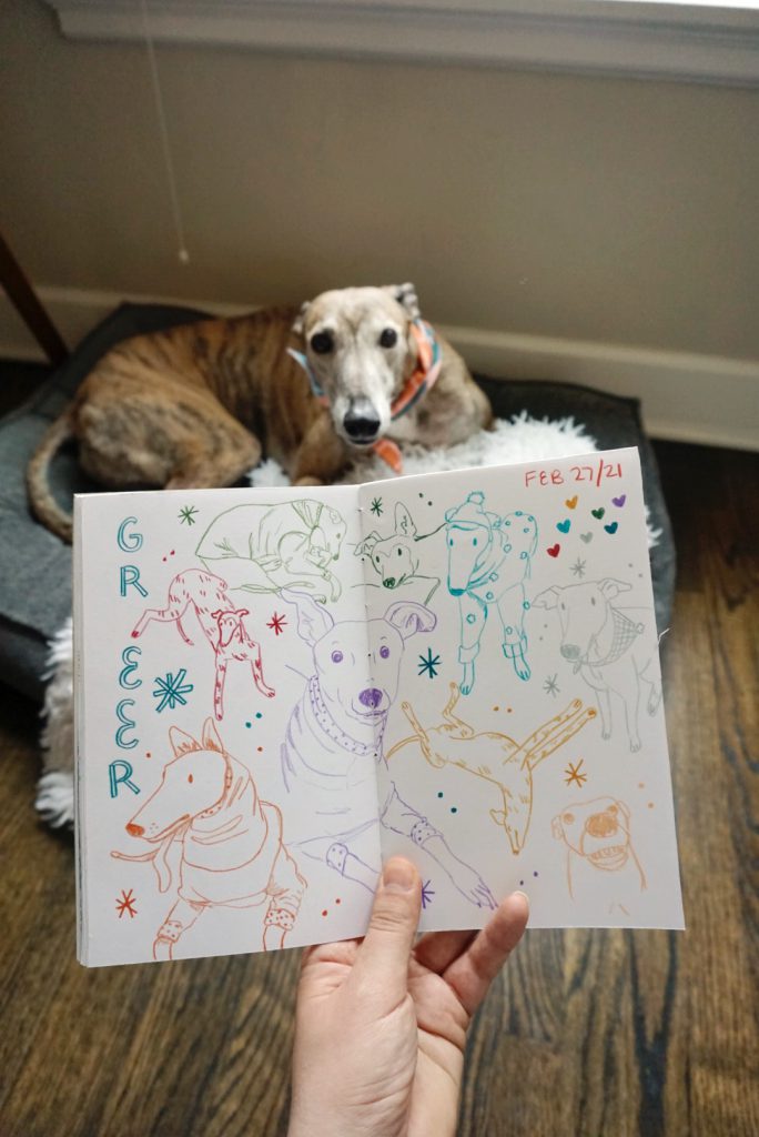 A hand holds up a sketchbook in front of a greyhound. The sketchbook is filled with colourful colored pencil drawings of a greyhound