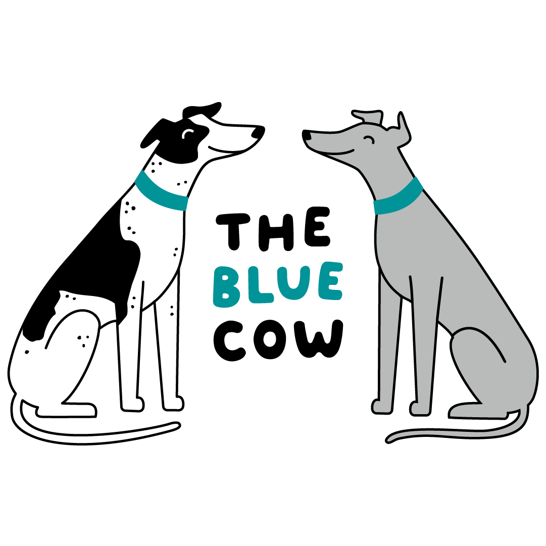 A logo featuring two illustrated greyhounds and the words "The Blue Cow" in between them. The dog on the left is black and white and the one on the right is grey. They both are wearing blue collars.