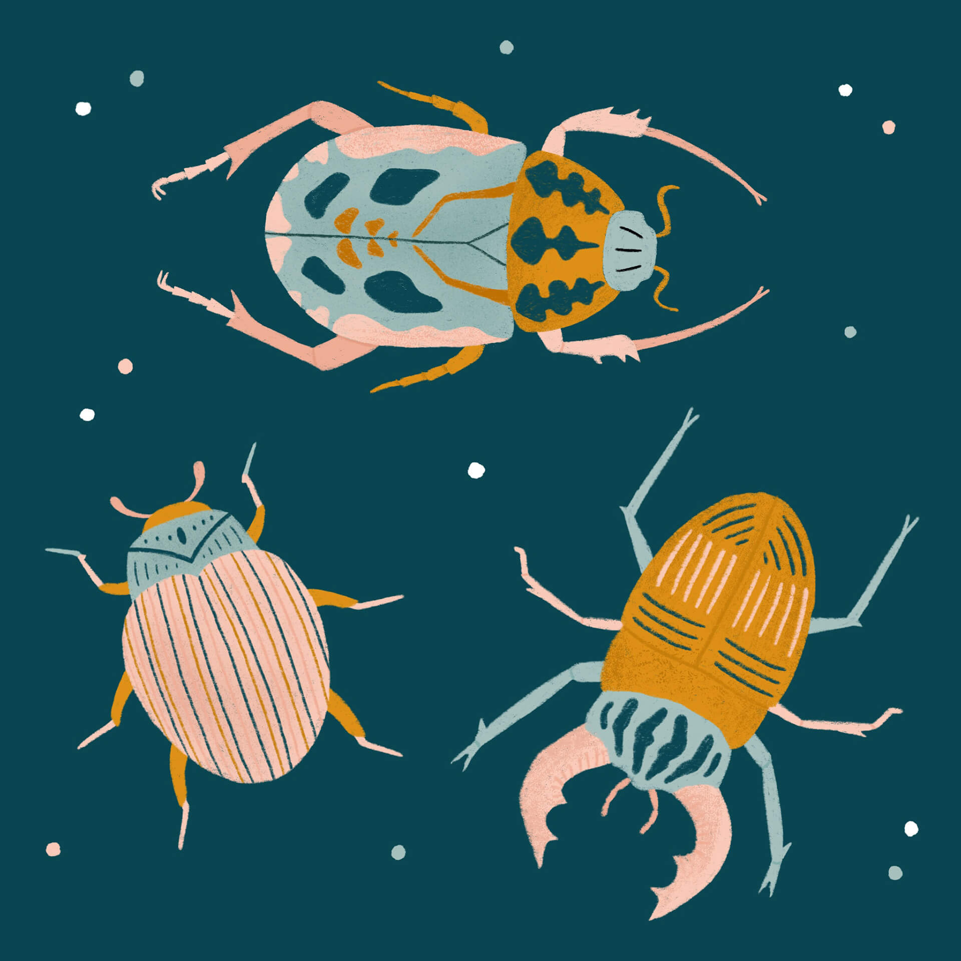 An illustration of three colourful beetles on a blue background