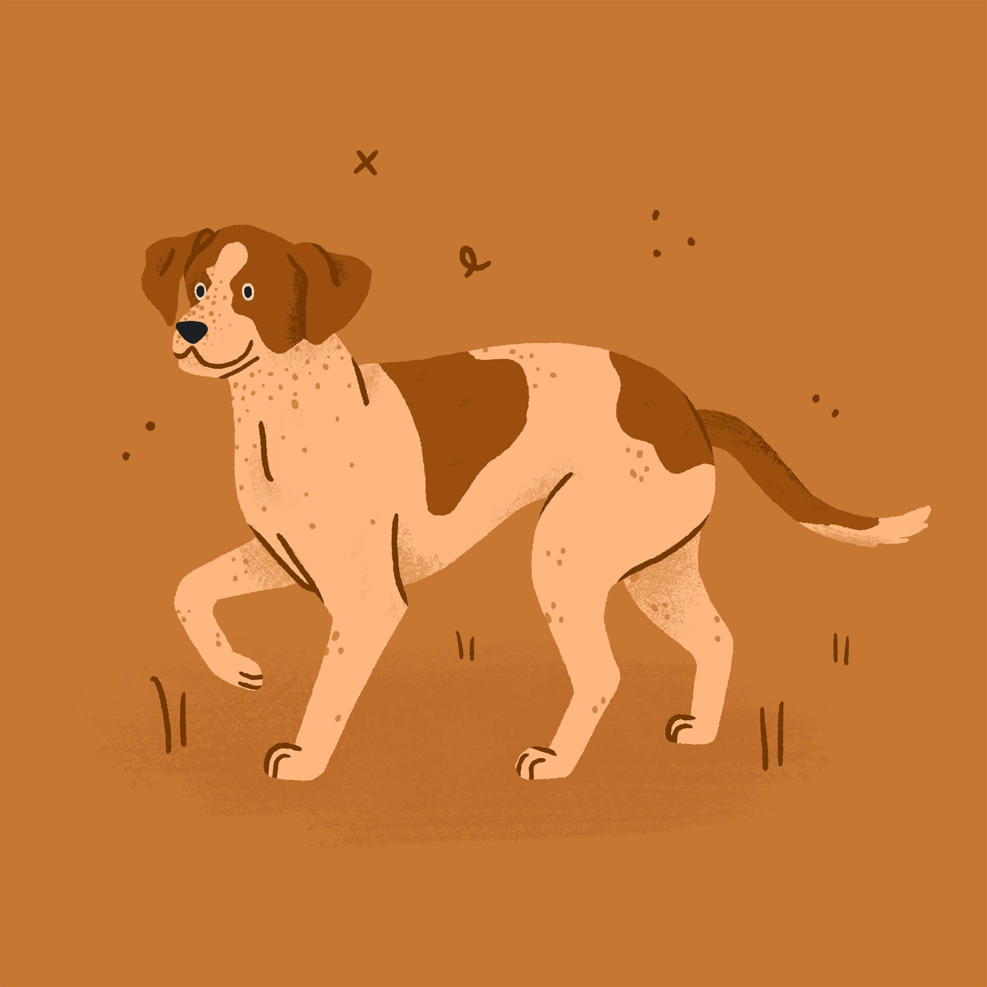 An illustration of an orange american foxhound with one paw raised