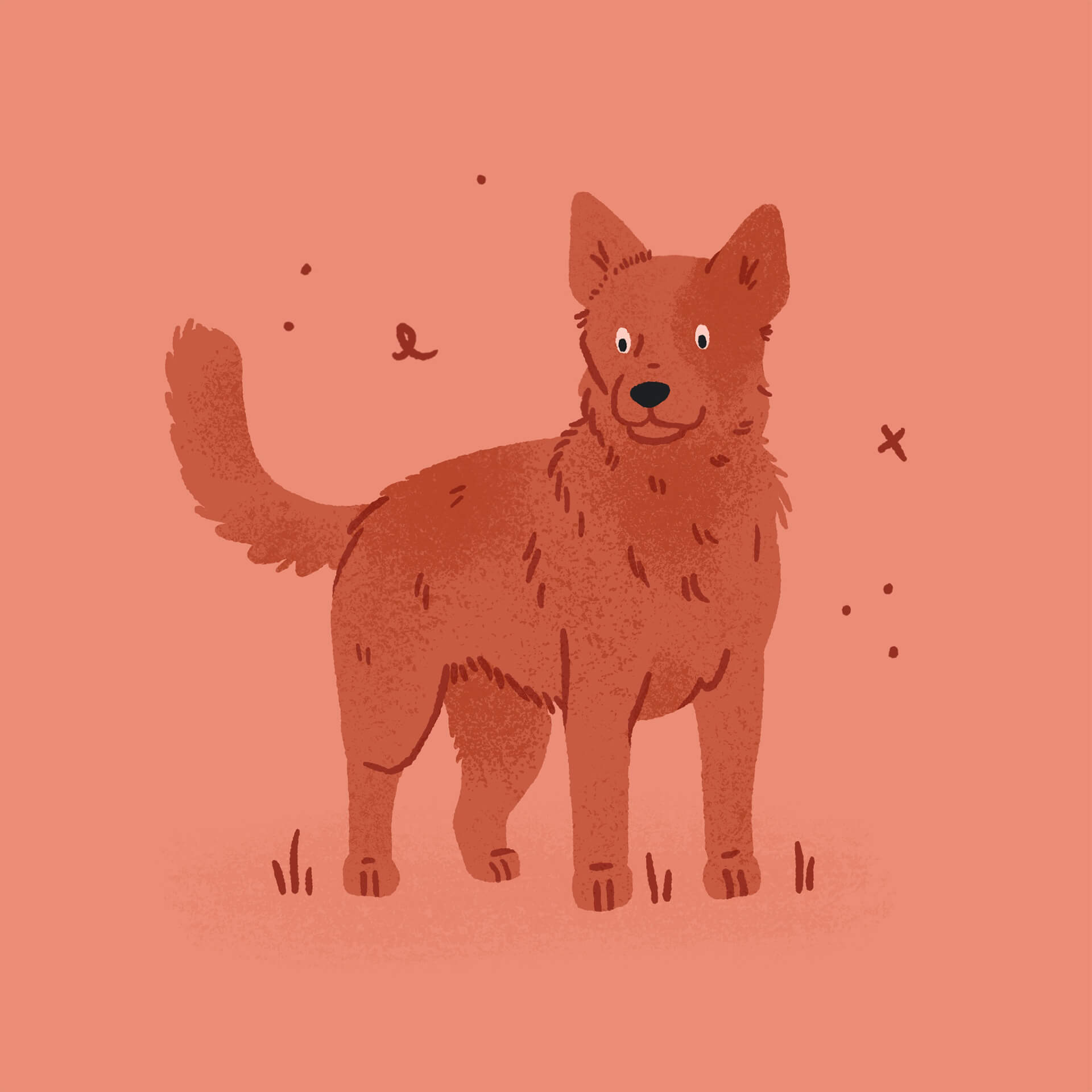 An illustration of a red australian cattle dog smiling with its tail raised