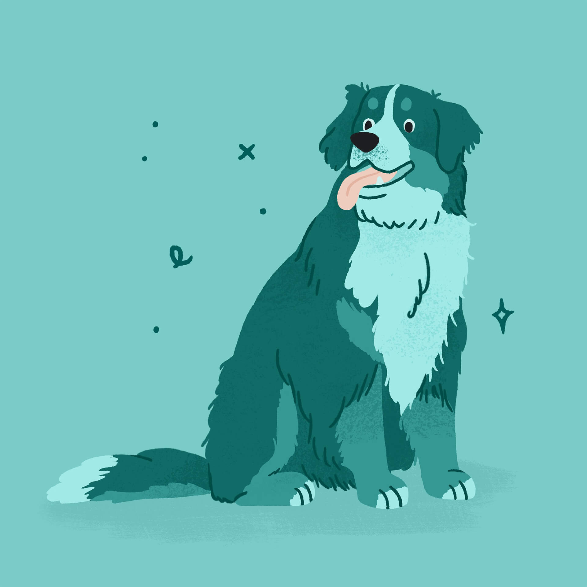 An illustration of a blue bernese mountain dog sitting and smiling with its tongue out