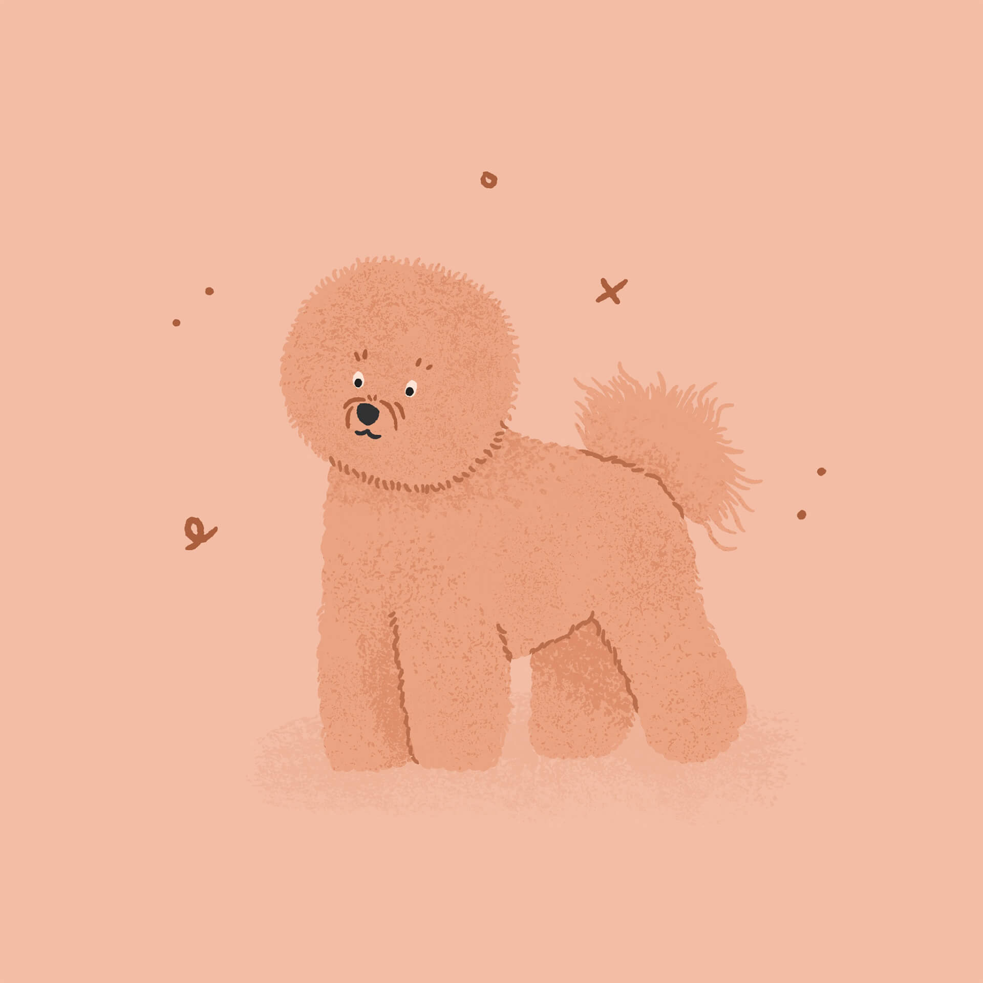 An illustration of a pink bichon frise dog