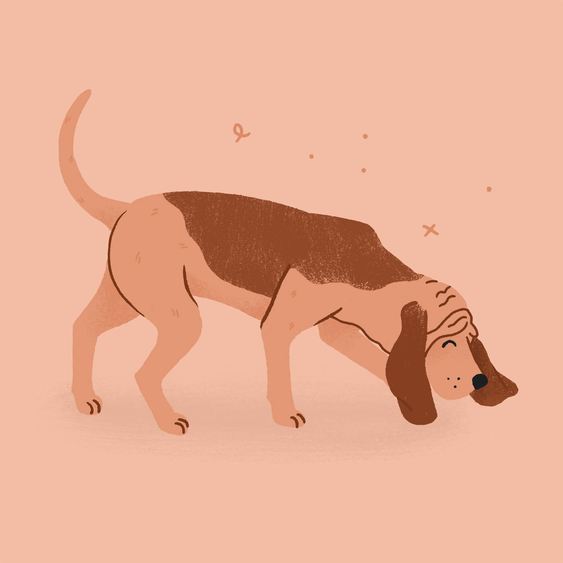 An illustration of a pink and brown bloodhound sniffing the ground