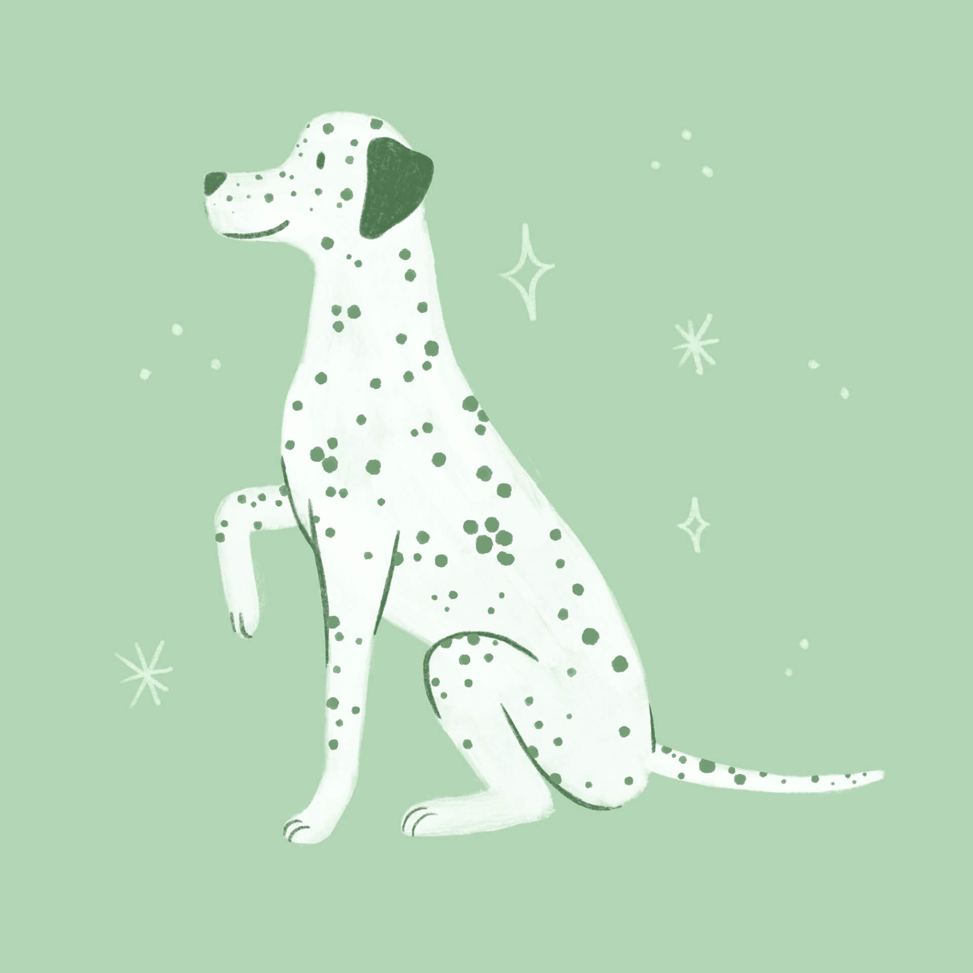 An illustration of a dalmatian sitting with its paw raised on a green background