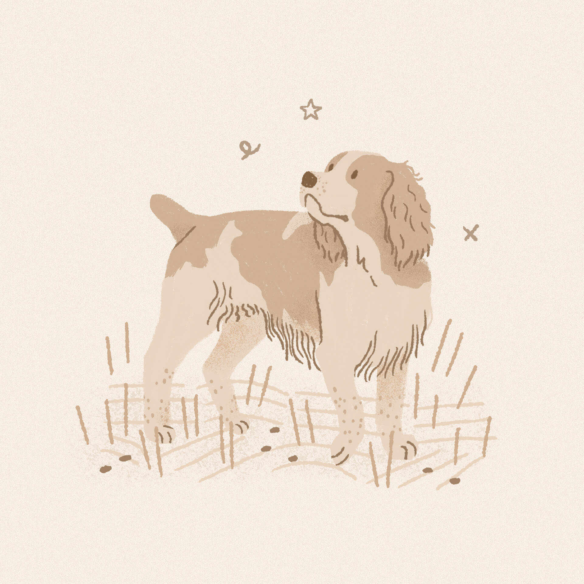 An illustration of an english springer spaniel standing in the grass