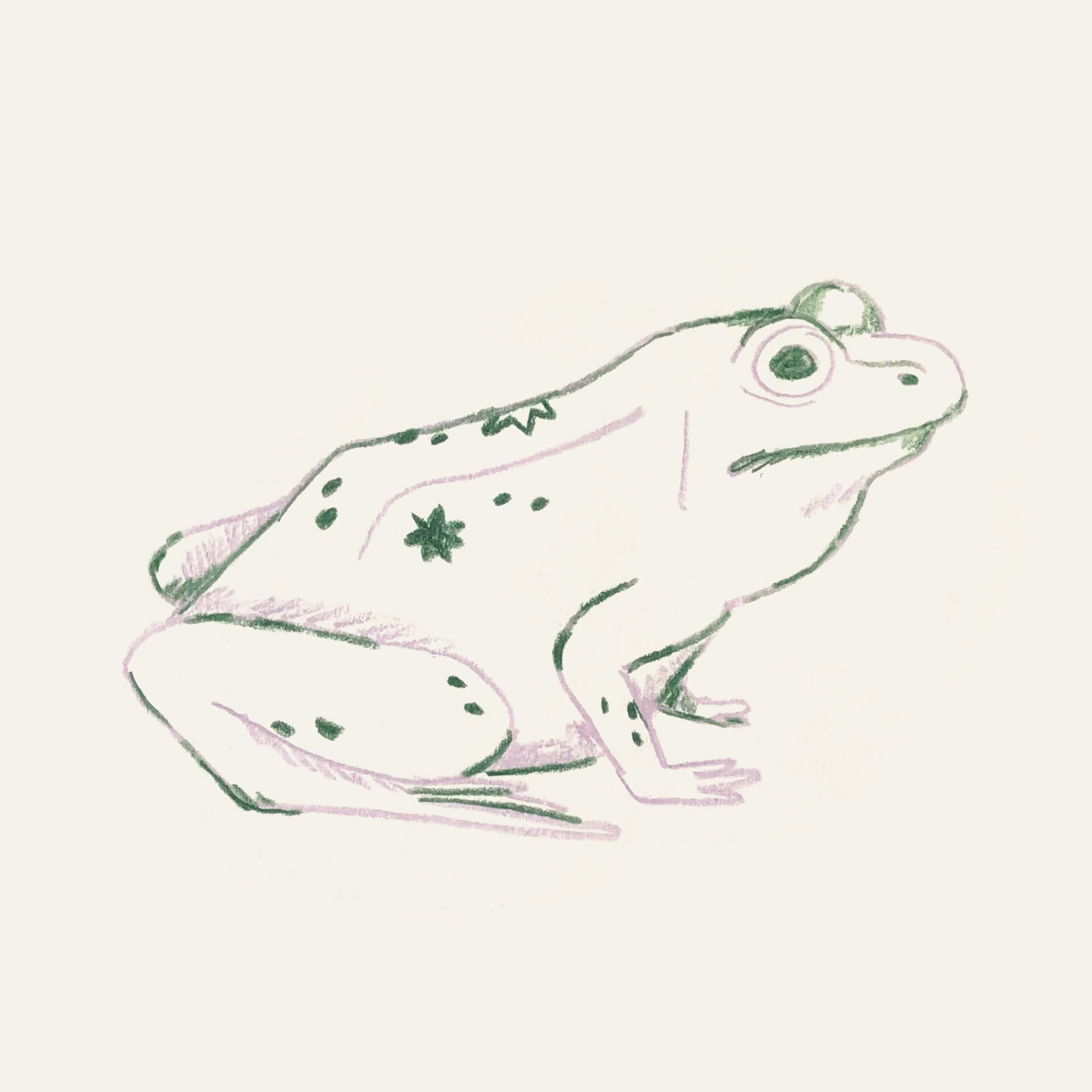 An illustrated sketch of a green and purple frog