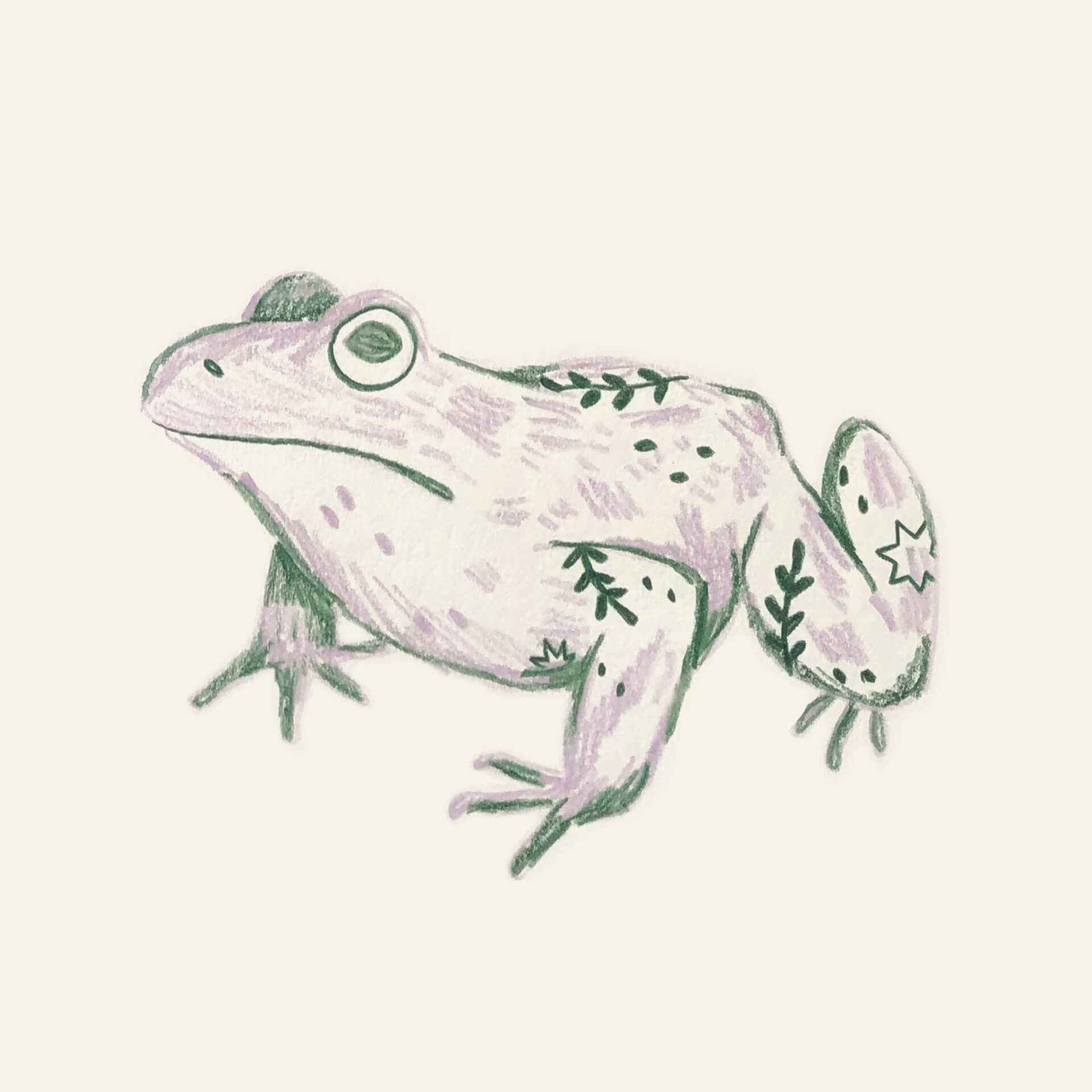 An illustrated sketch of a green and purple frog