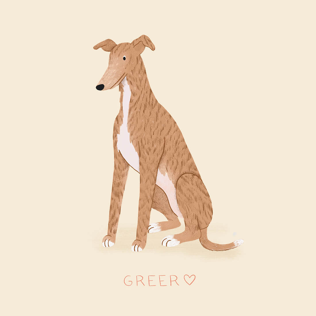 A brindle greyhound sits with the name 