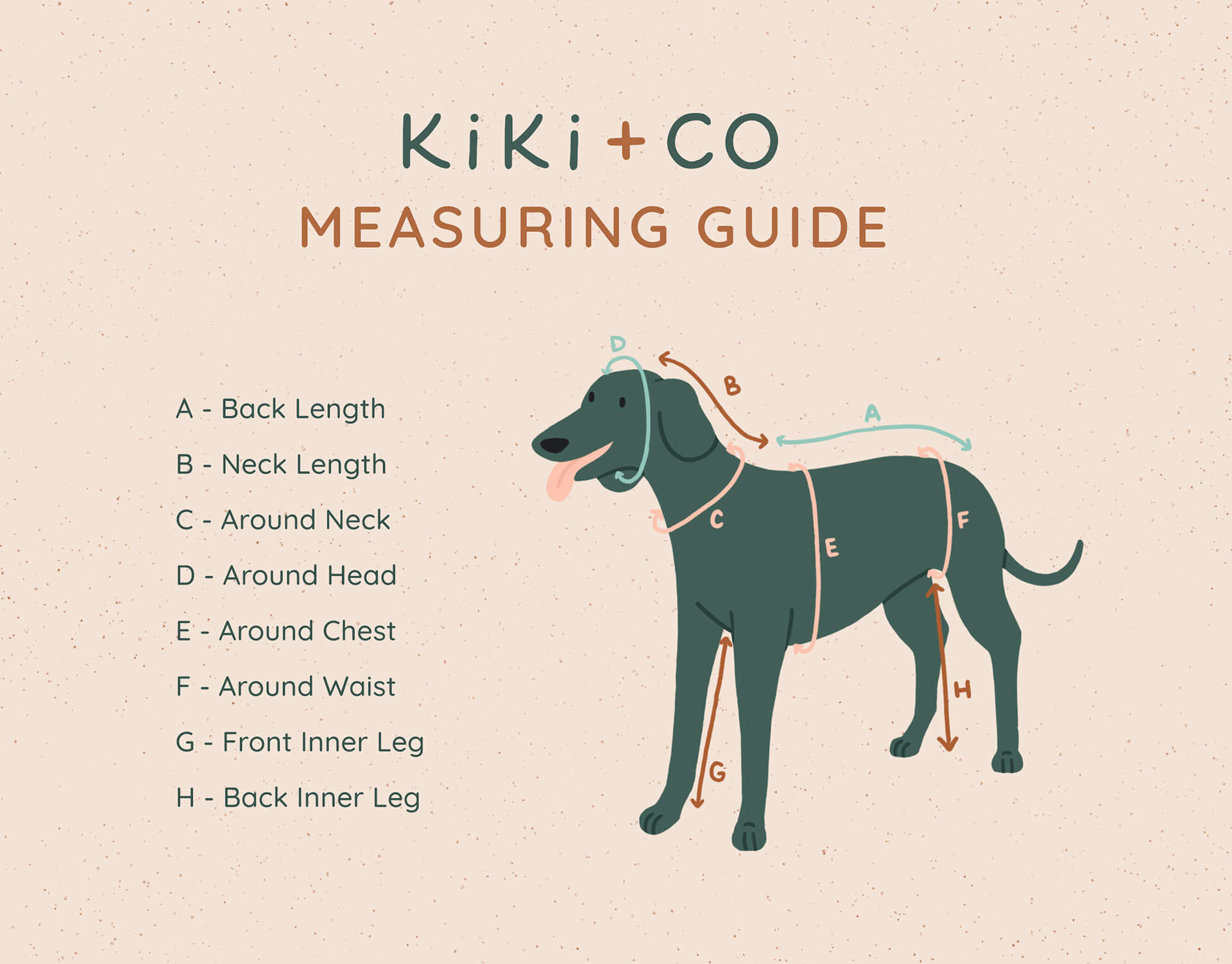 kiki-measurement-guide-illustration