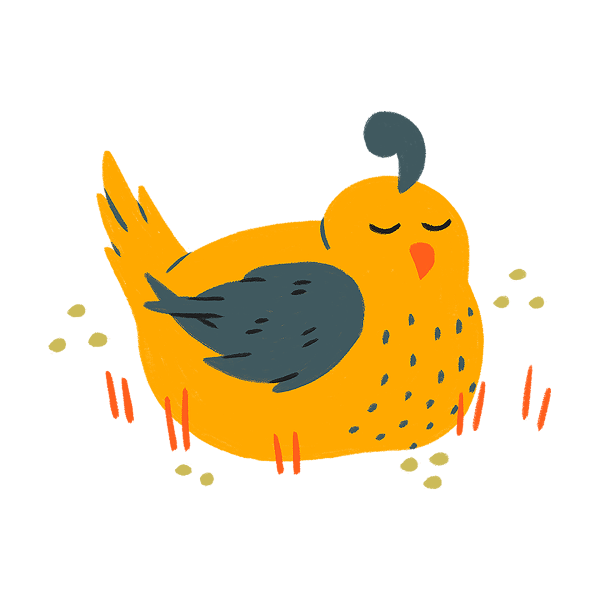 A yellow and blue quail illustration snoozing on the ground