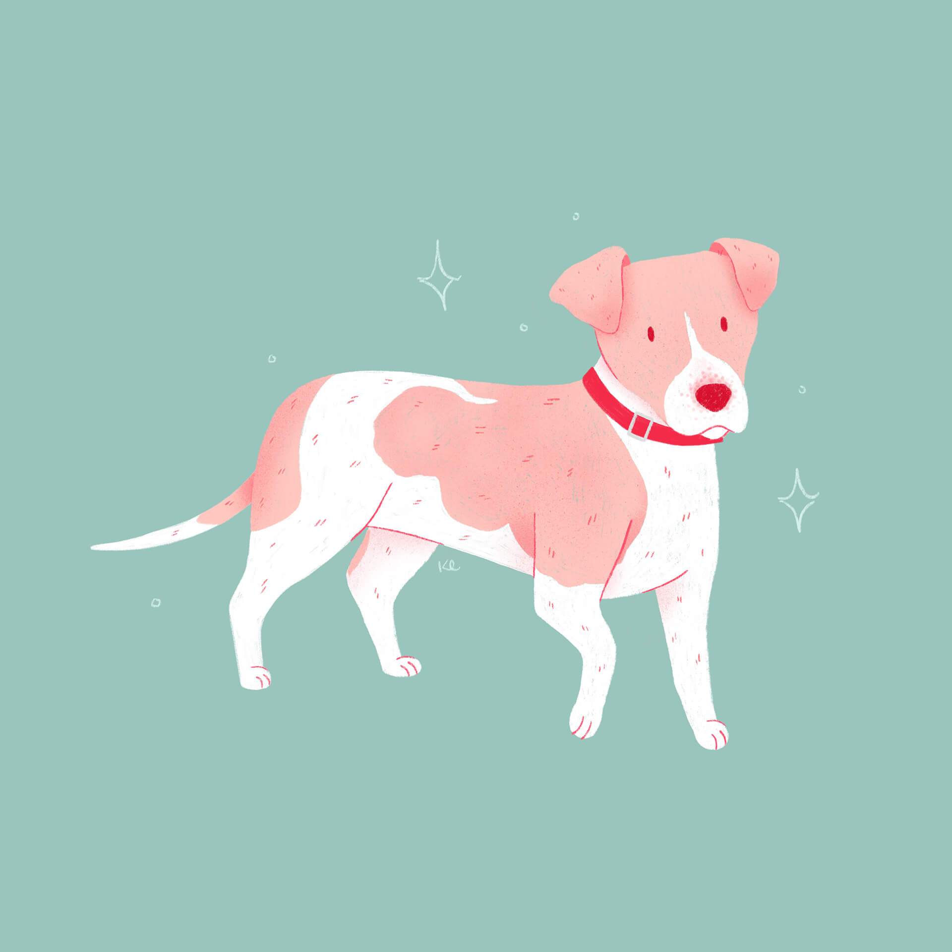 illustration of a little pink and white dog on a blue backrgound