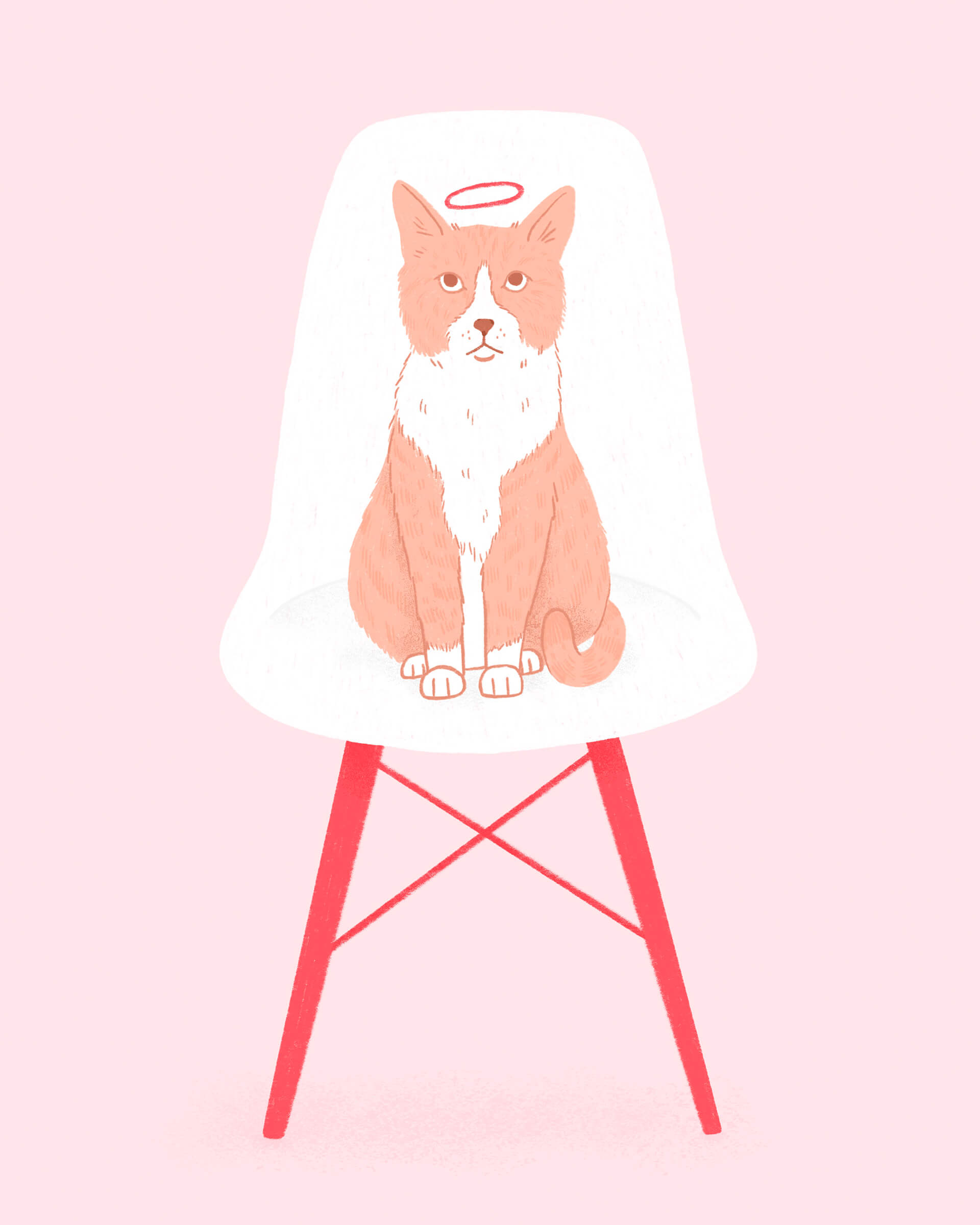 A serious looking cat sits on an eames chair with a halo above her head
