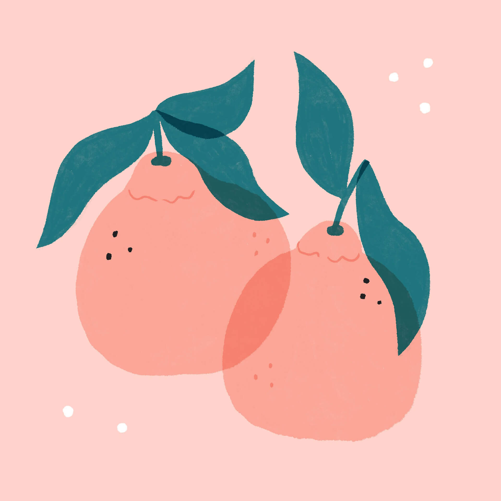 An illustration of two leafy sumo oranges