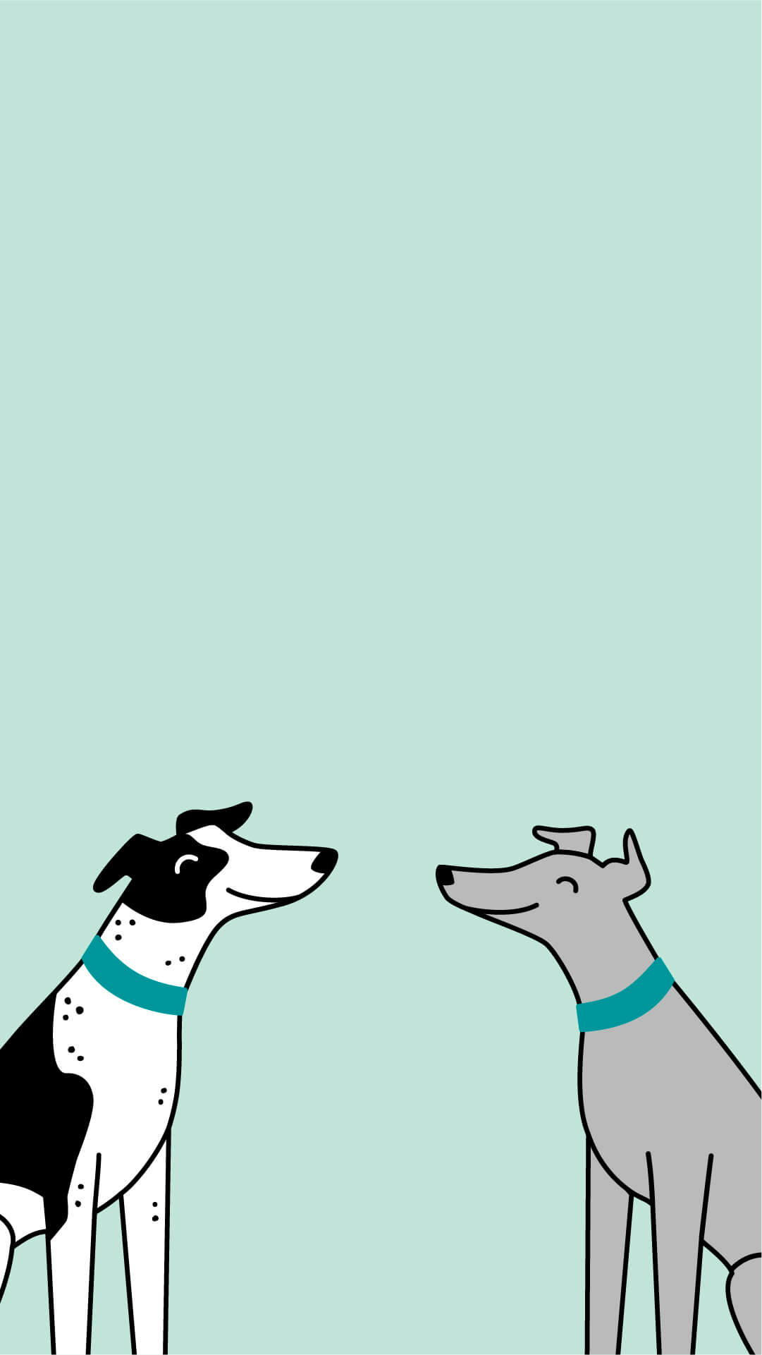 A light blue rectangle with two greyhounds peeking in at the bottom