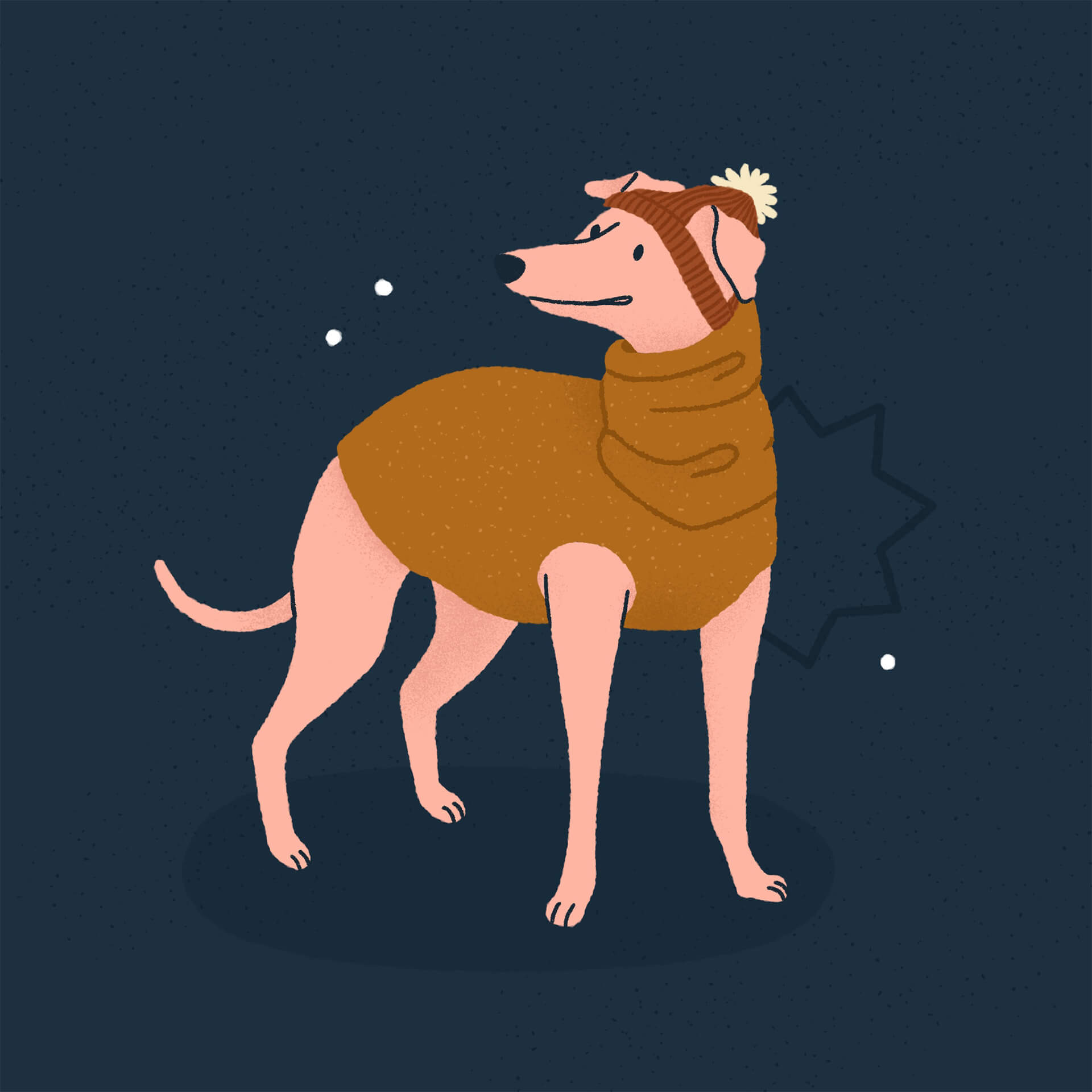 An illustration of a whippet wearing a mustard coloured turtleneck and a dark orange pom pom hat