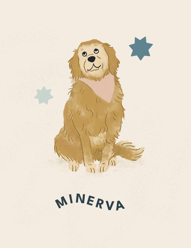 Pet portrait of Minerva the golden retriever