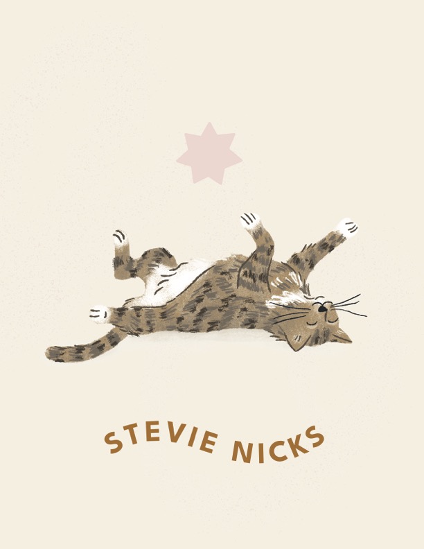 Pet portrait of Stevie Nicks the cat