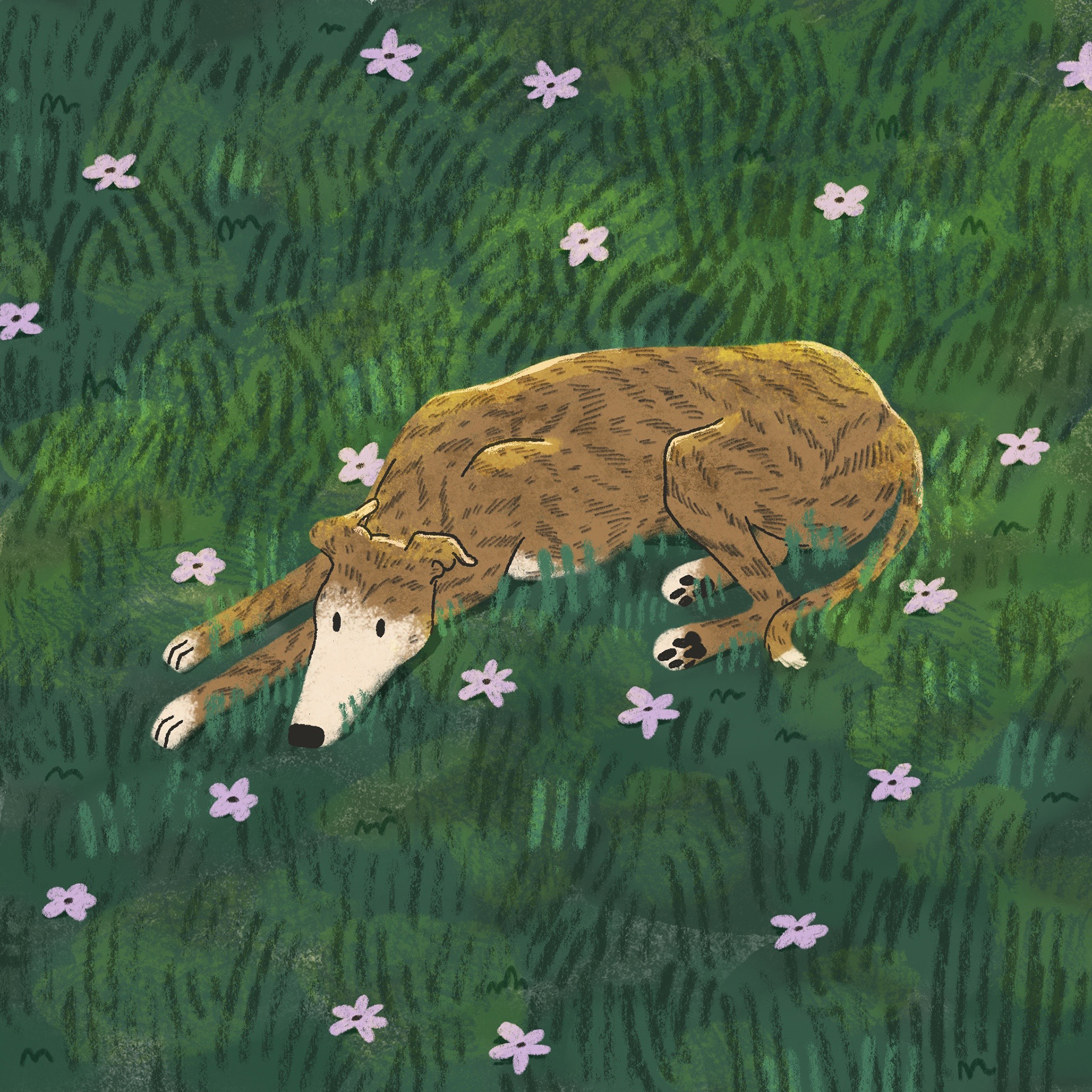 An illustration of a brindle greyhound laying with their head down on a grassy lawn full of lilac flowers