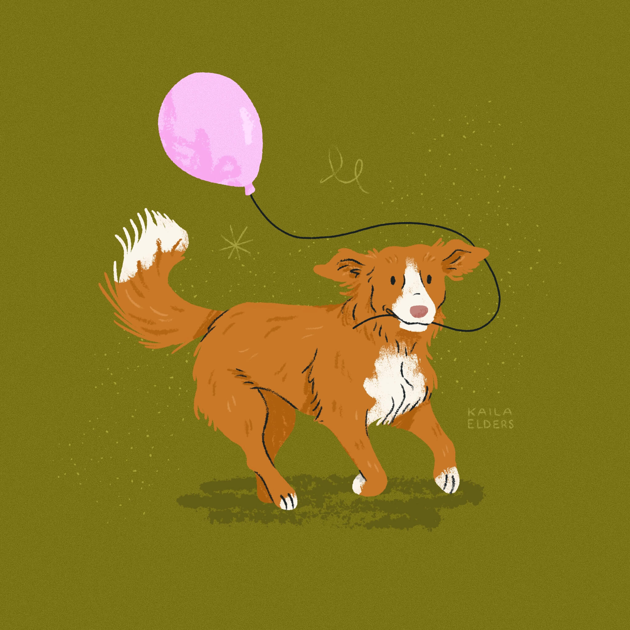 An illustration of a Nova Scotia Duck Tolling Retriever dog running with a pink balloon string in its mouth. The background is olive green.