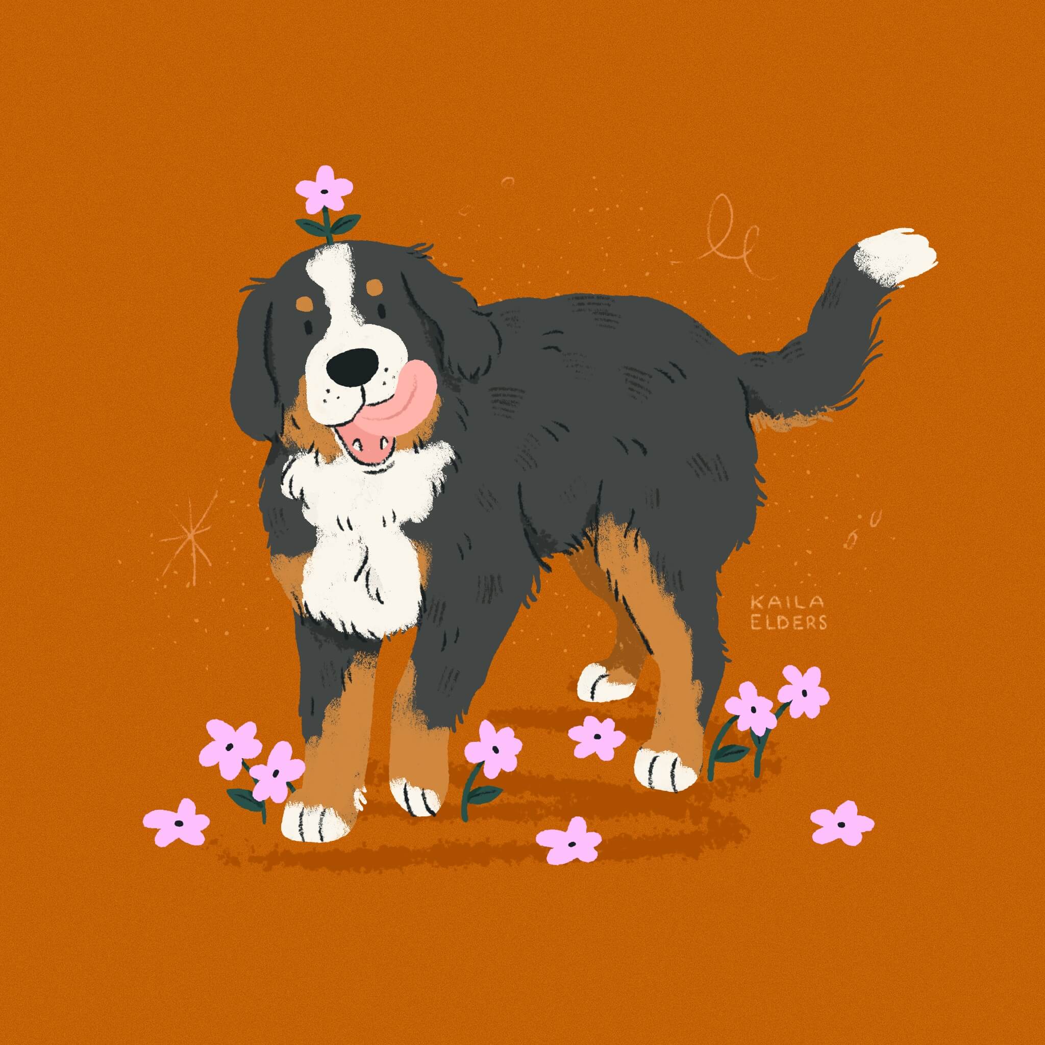 An illustration of a Bernese Mountain dog with its tongue out and a pink flower growing whimsically out of its head. more pink flowers surround its feet. The background is dark orange.