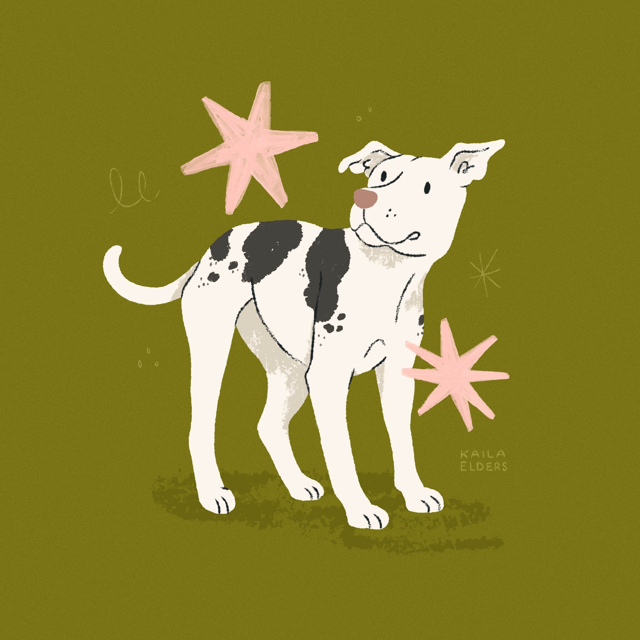 An illustration of a black and white Pitbull dog standing in front of an olive green background. There are light pink stars surrounding it.