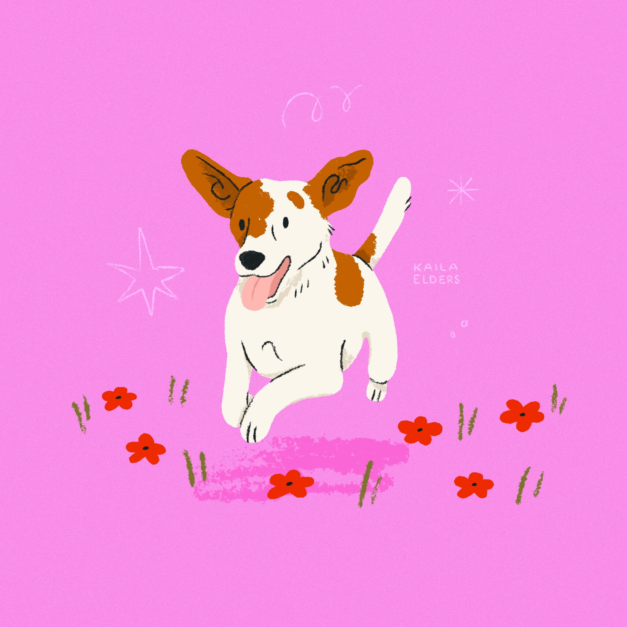 An illustration of a happy Jack Russell Terrier running toward the viewer. It is surrounded by little red flowers on a bright pink background.