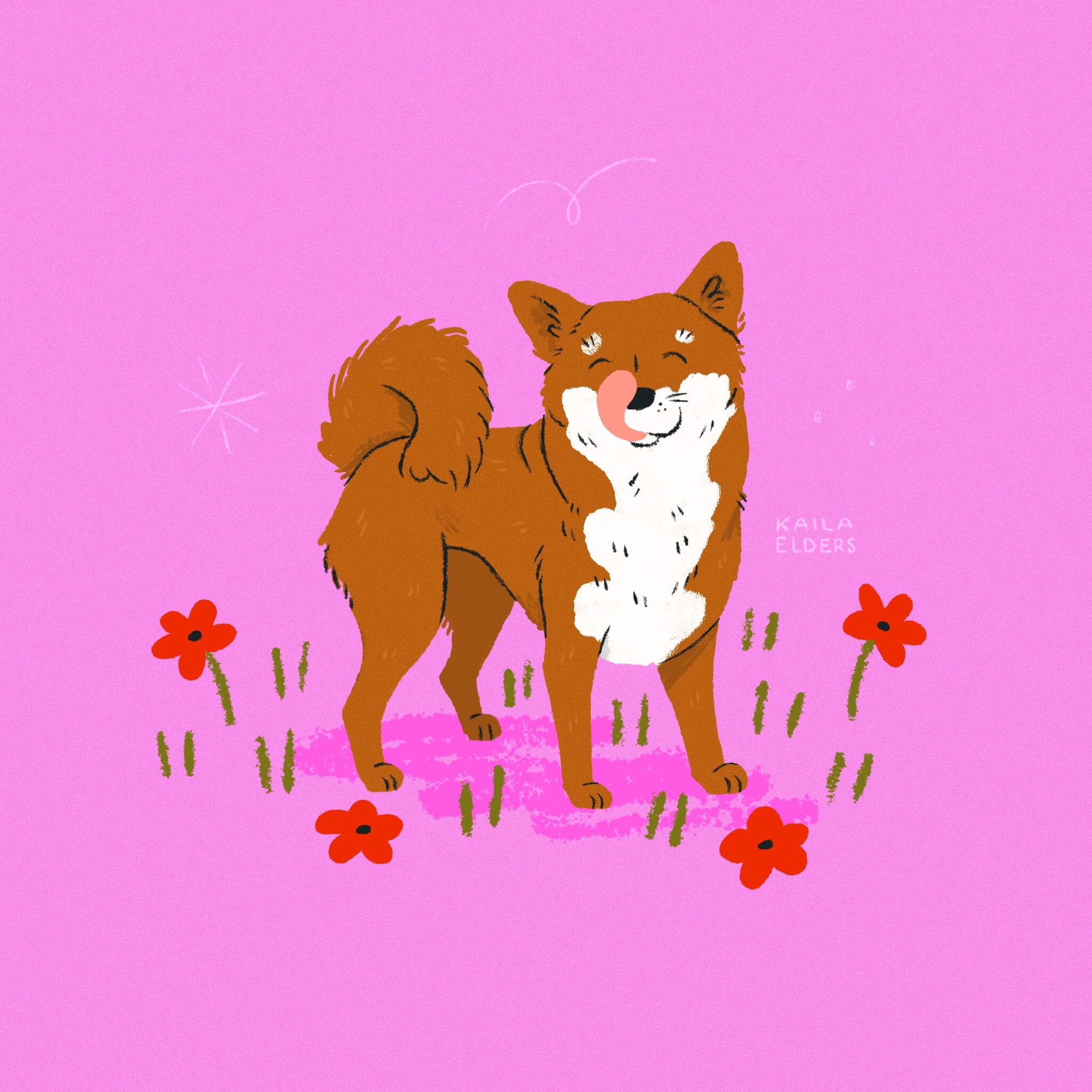 An illustration of a Shiba Inu dog standing and smiling with its eyes closed and its tongue licking its nose. The background is bright pink and there are red flowers around it.