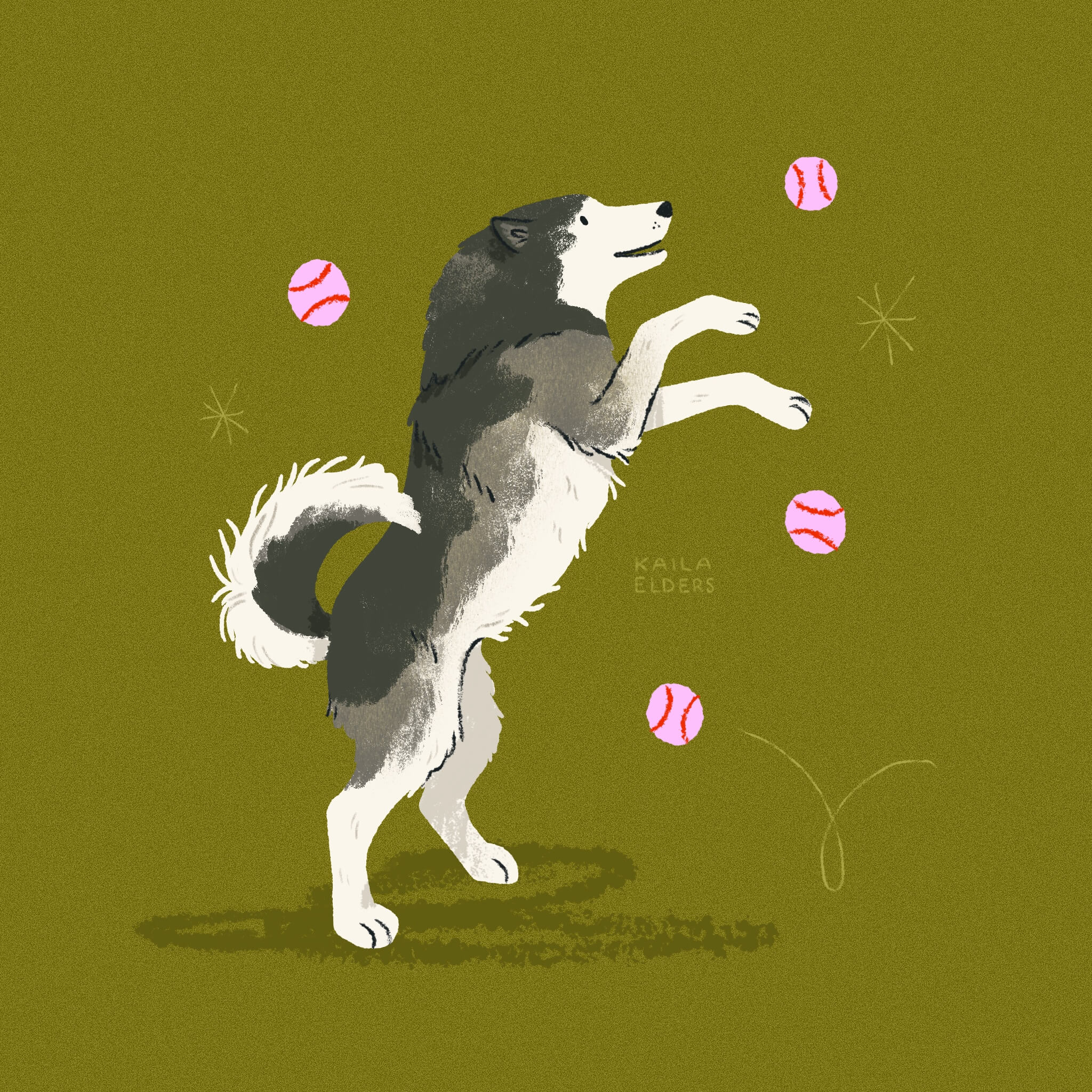 An illustration of an Alaskan Malamute jumping up on its hind legs to catch one of four pink tennis balls bouncing in his direction. The background is olive green.