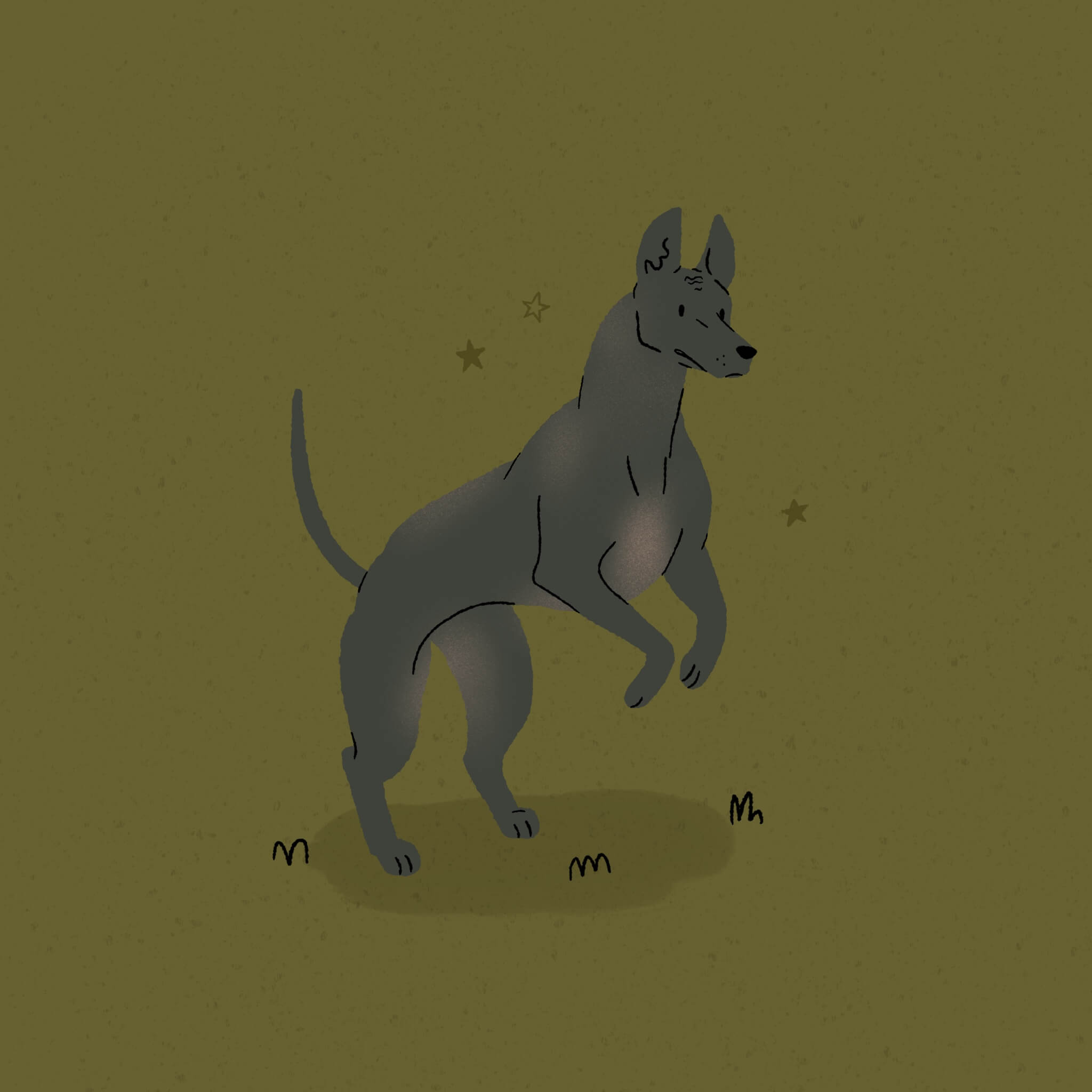 An illustration of a leaping black Xoloitzcuintle dog on a dark olive green background