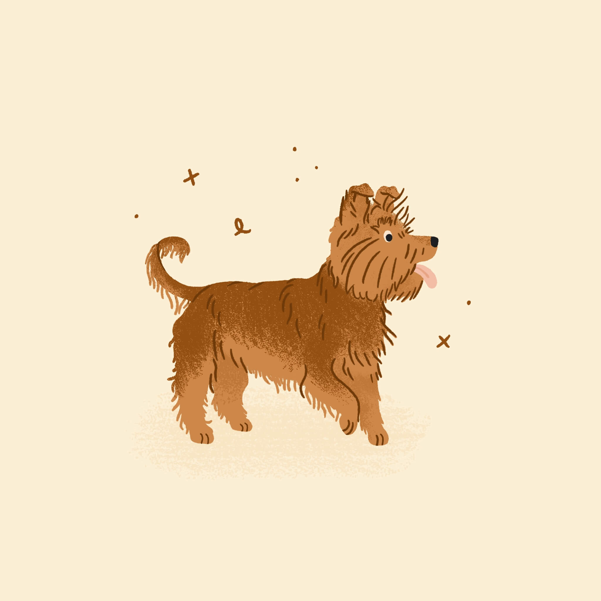 A monochromatic brown illustration of a little Yorkshire Terrier dog