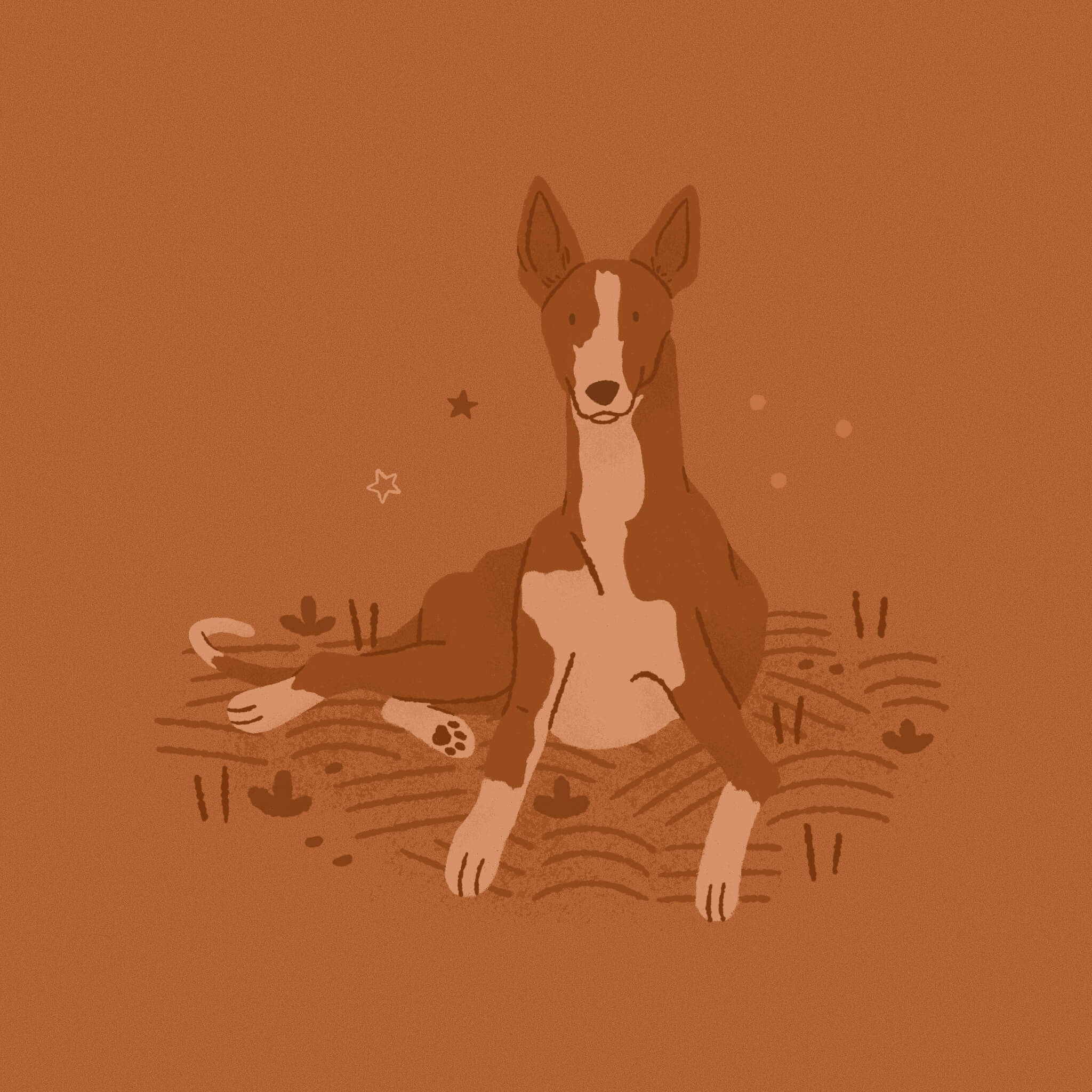 A monochromatic dark orange illustration of a Podenco dog laying in the grass and looking towards the viewer in an alert and friendly way