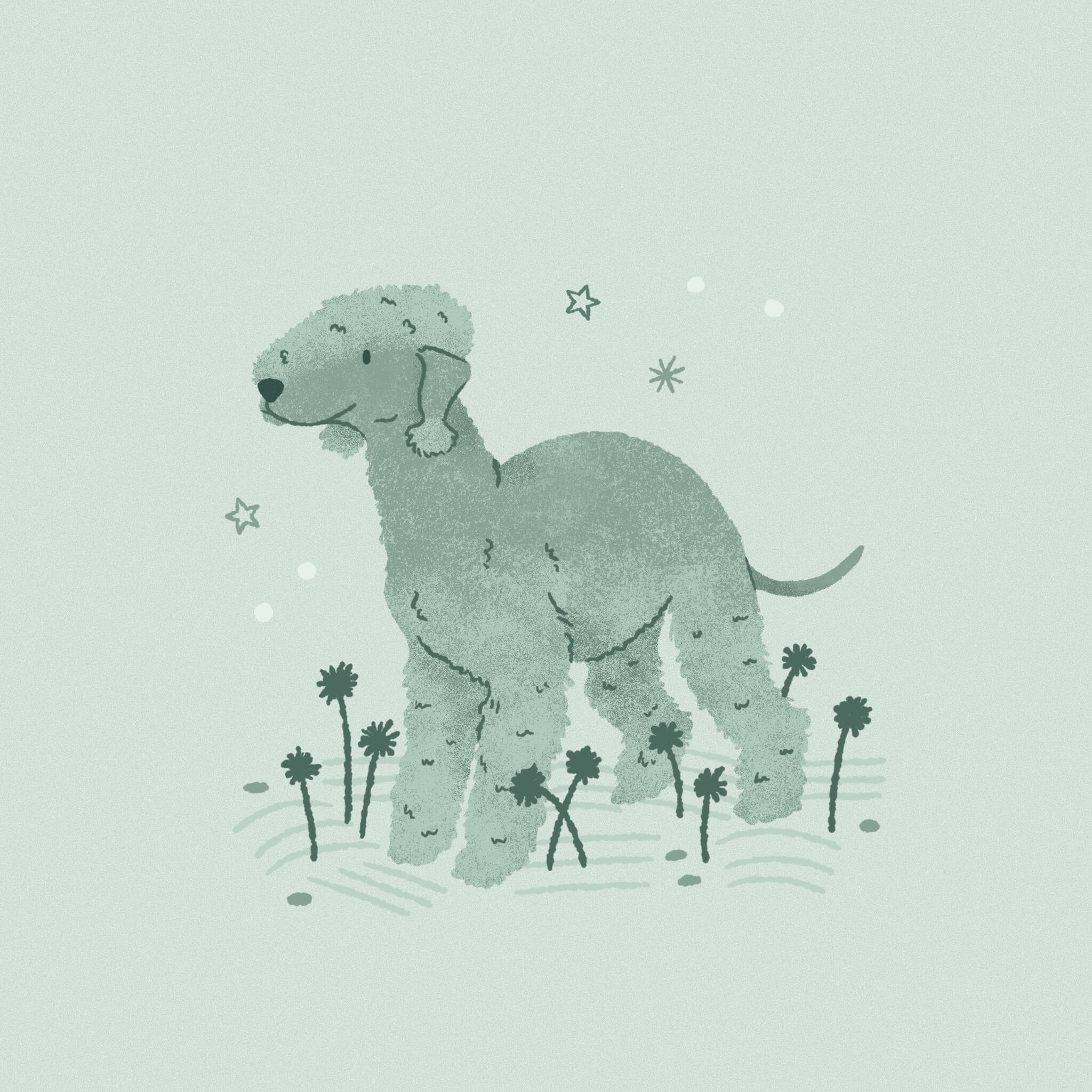 A monochromatic pale teal illustration of a Bedlington Terrier standing happily among some flowers