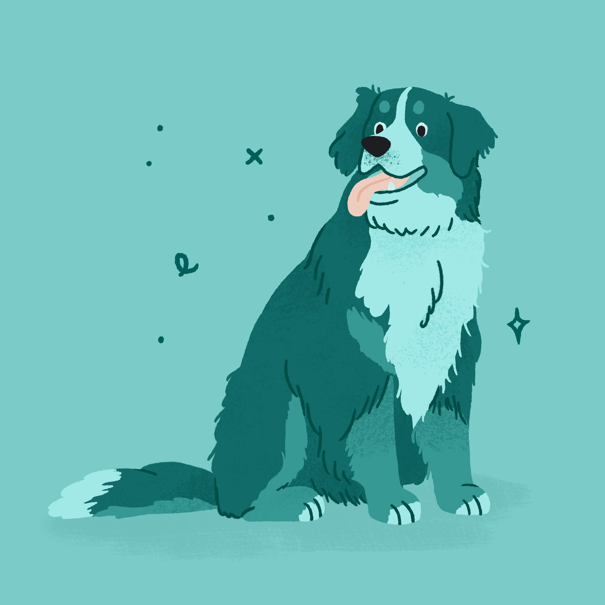 A monochromatic blue illustration of a Bernese Mountain Dog smiling and sitting with its tongue out