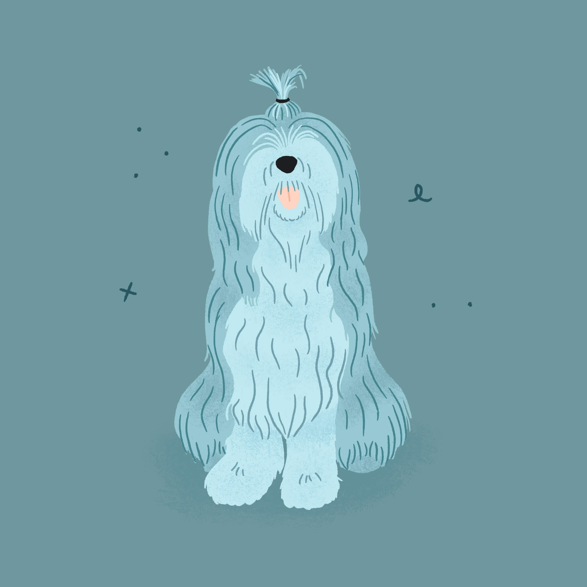 A monochromatic blue illustration of a Bearded Collie sitting. It's hair is tied up in a pony on top of its head