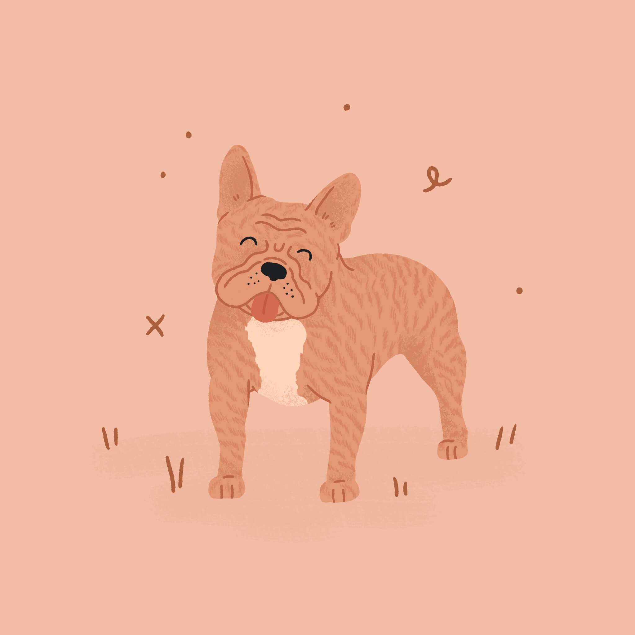 A monochromatic pink illustration of a French Bulldog smiling and facing the viewer