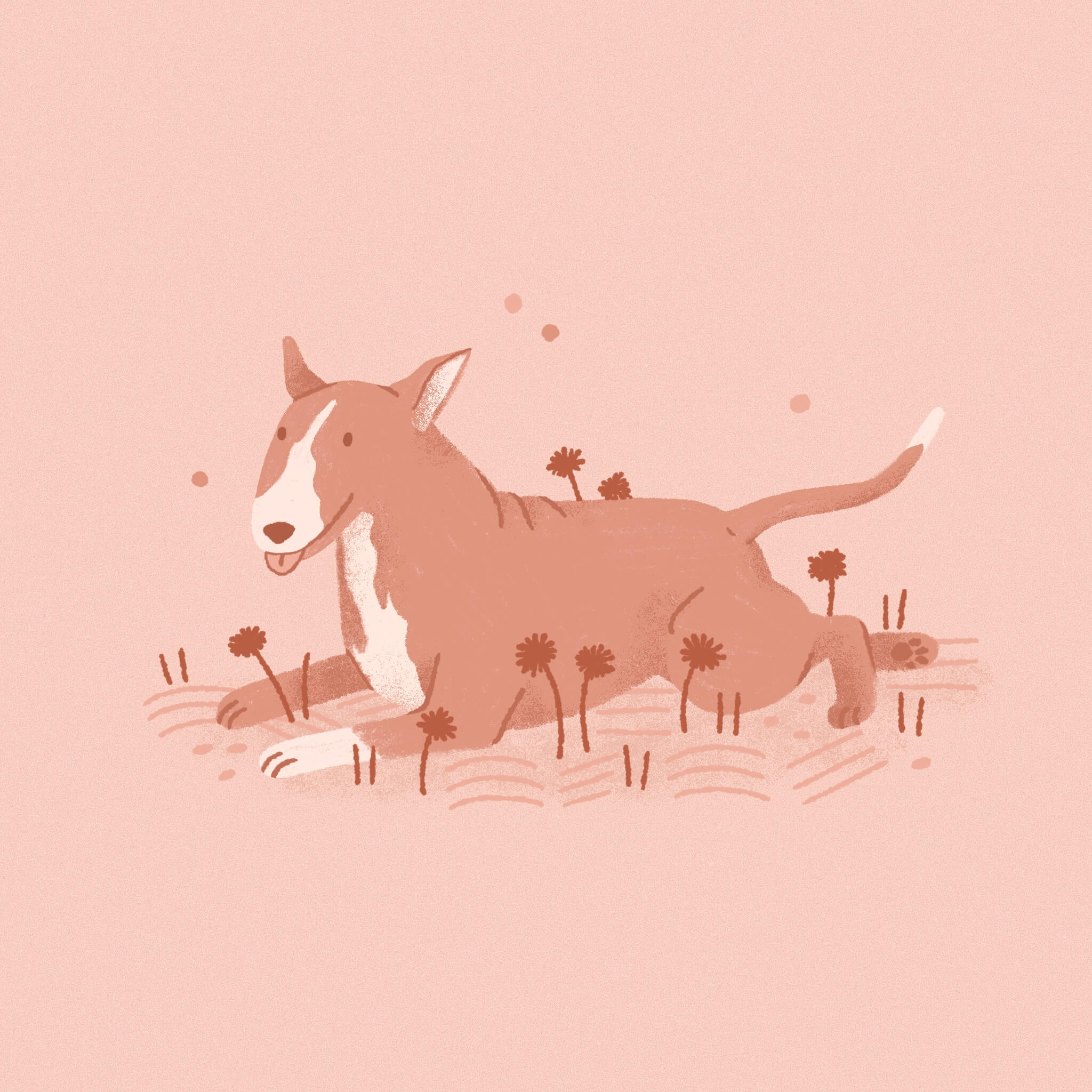 A monochromatic pink illustration of a splooting bull terrier dog among some flowers