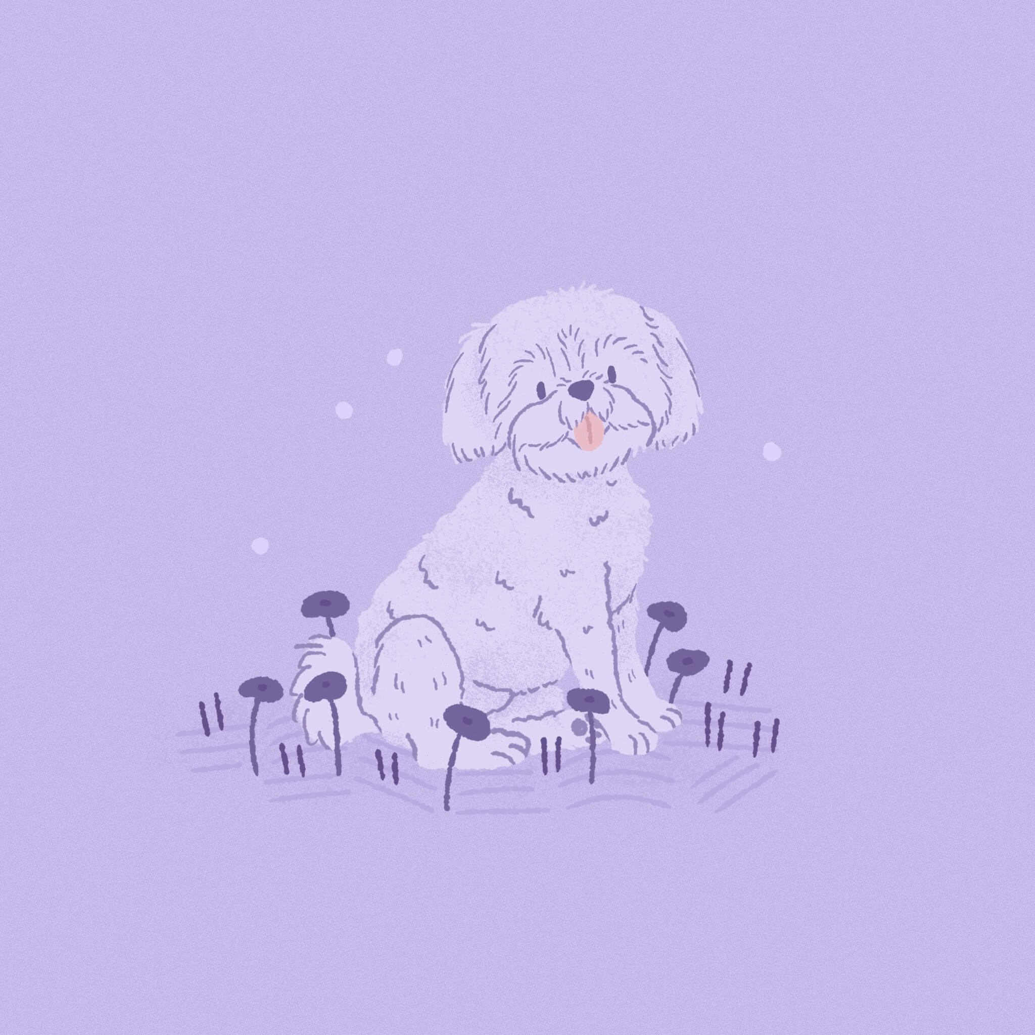 A monochromatic light purple illustration of a Shih Tzu dog sitting among some flowers