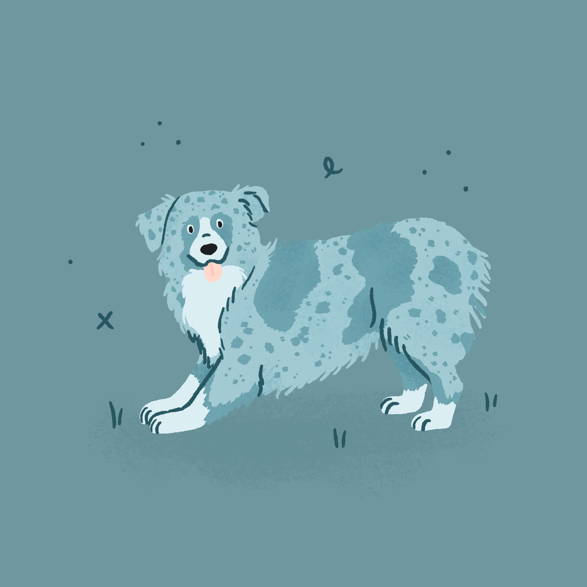 A monochromatic blue illustration of a merle Australian Shepherd dog in a play bow