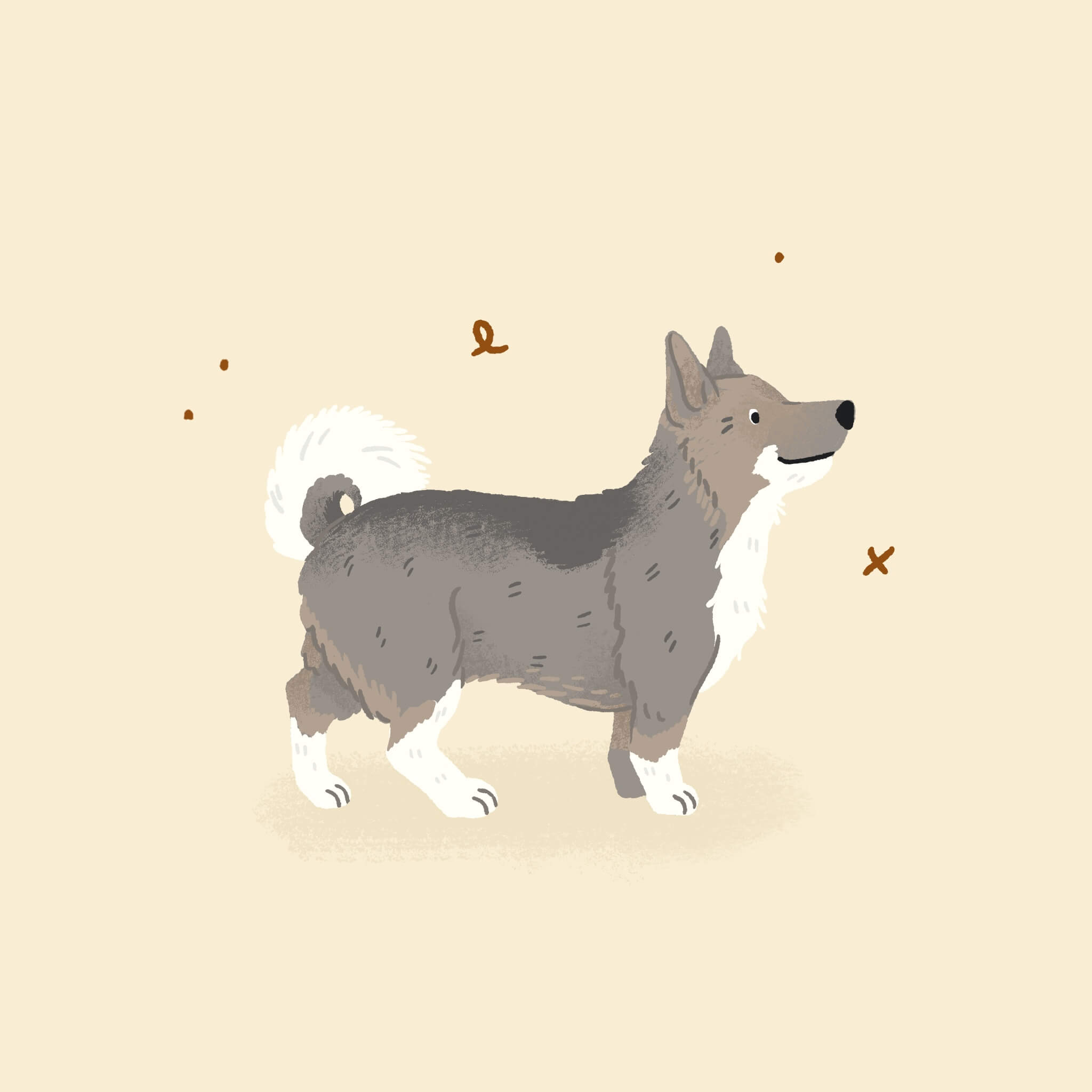 An illustration of a Swedish Valhound dog smiling with its tail up