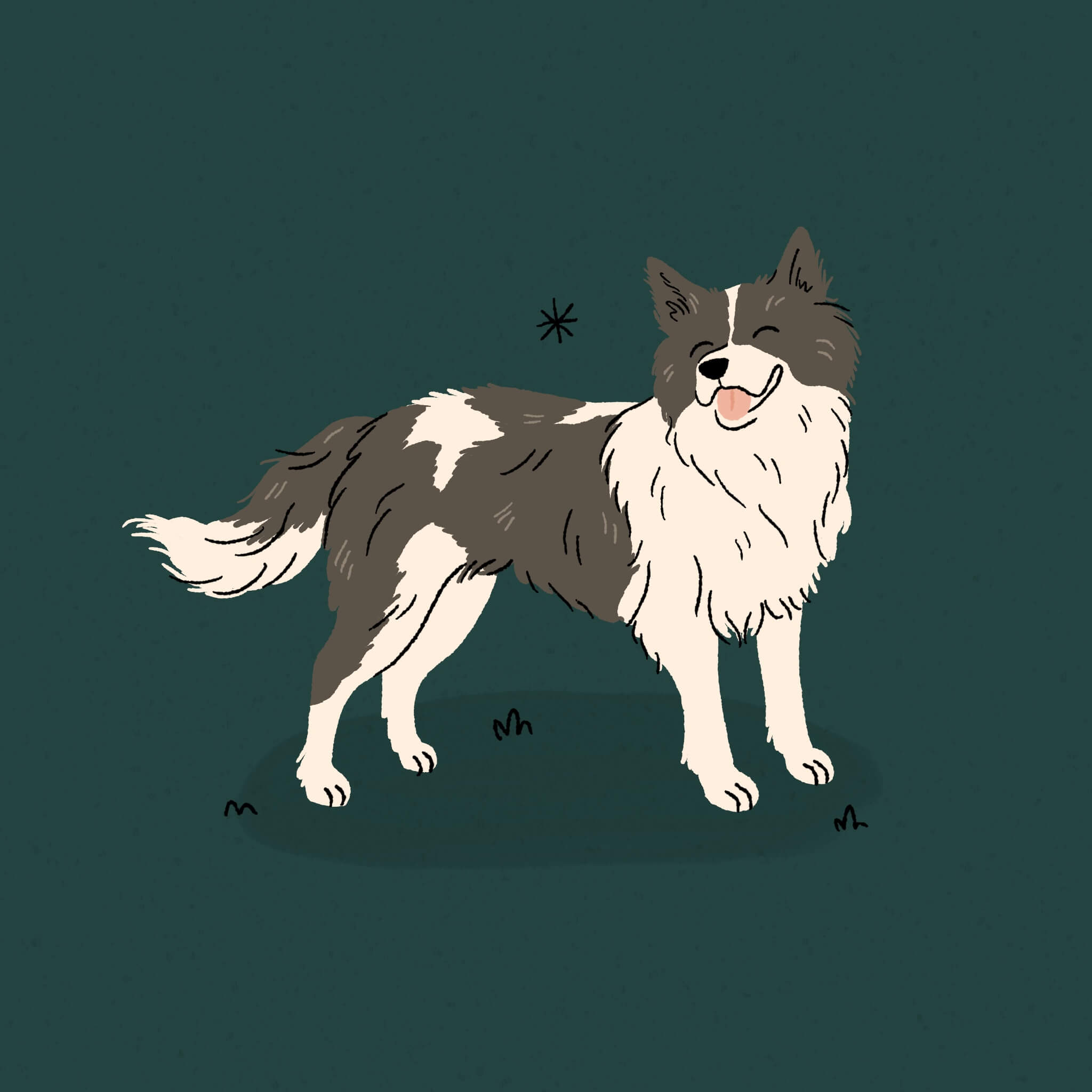 An illustration of a white and black Thai Bangkaew Dog in front of a dark bluey green background