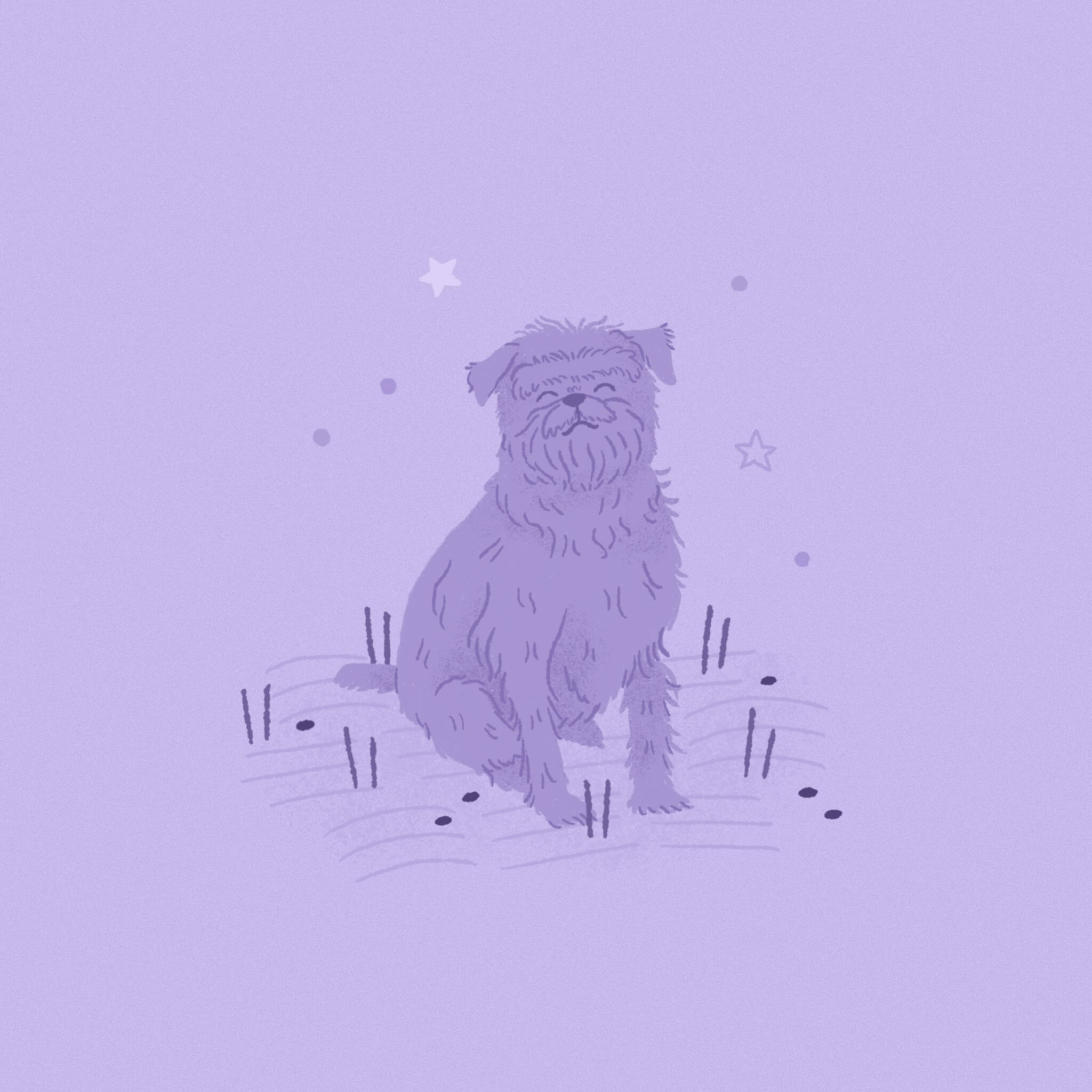 A monochromatic light purple illustration of an Affenpinscher dog sitting in the grass